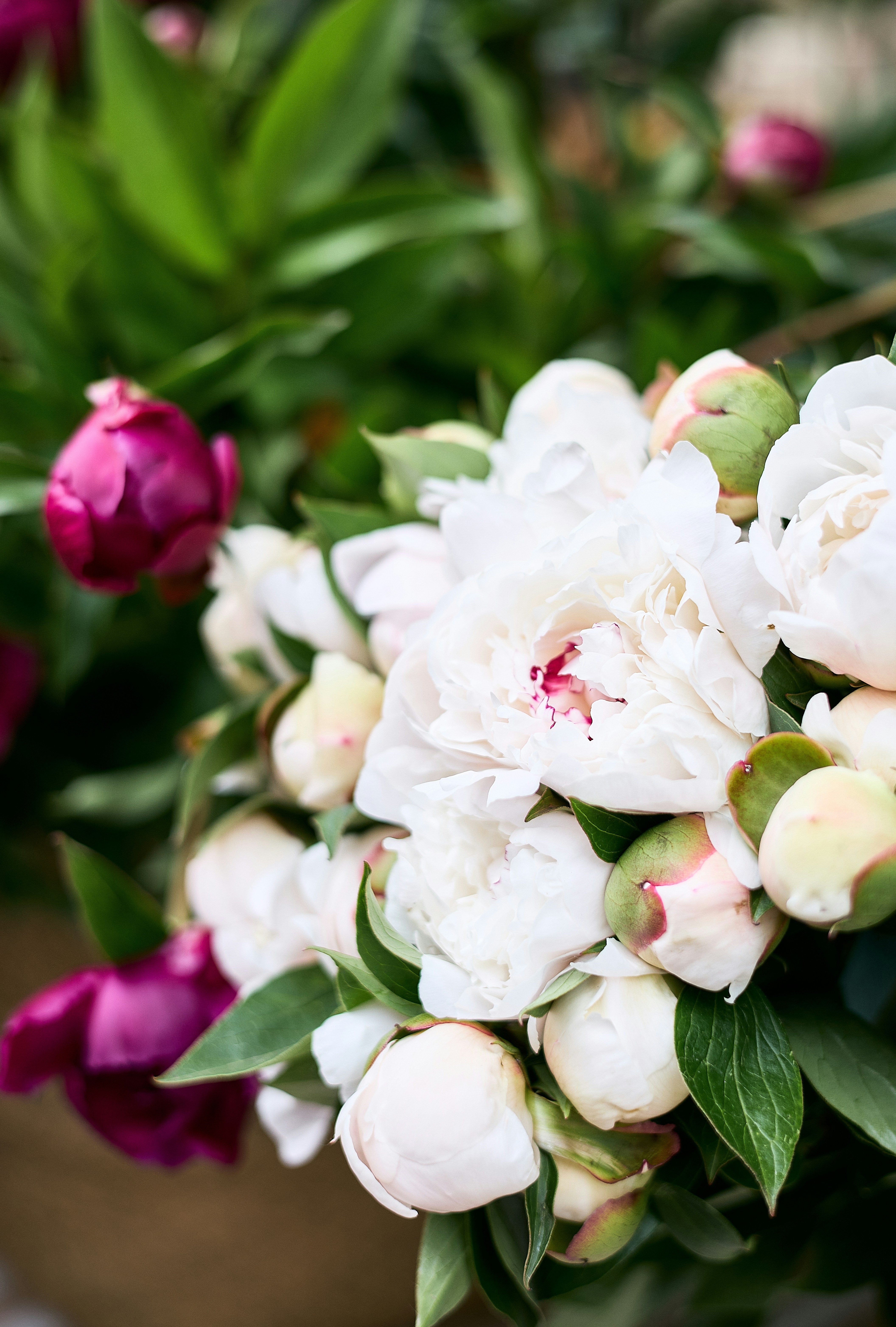 Photo by ann_leo_photo