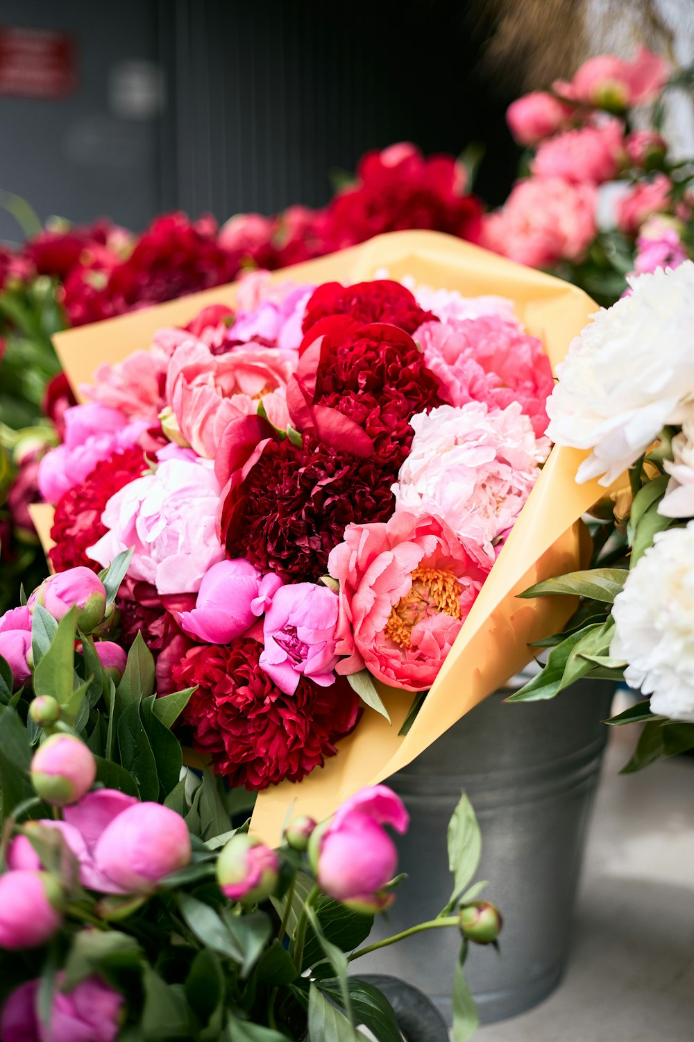 un bouquet de fleurs