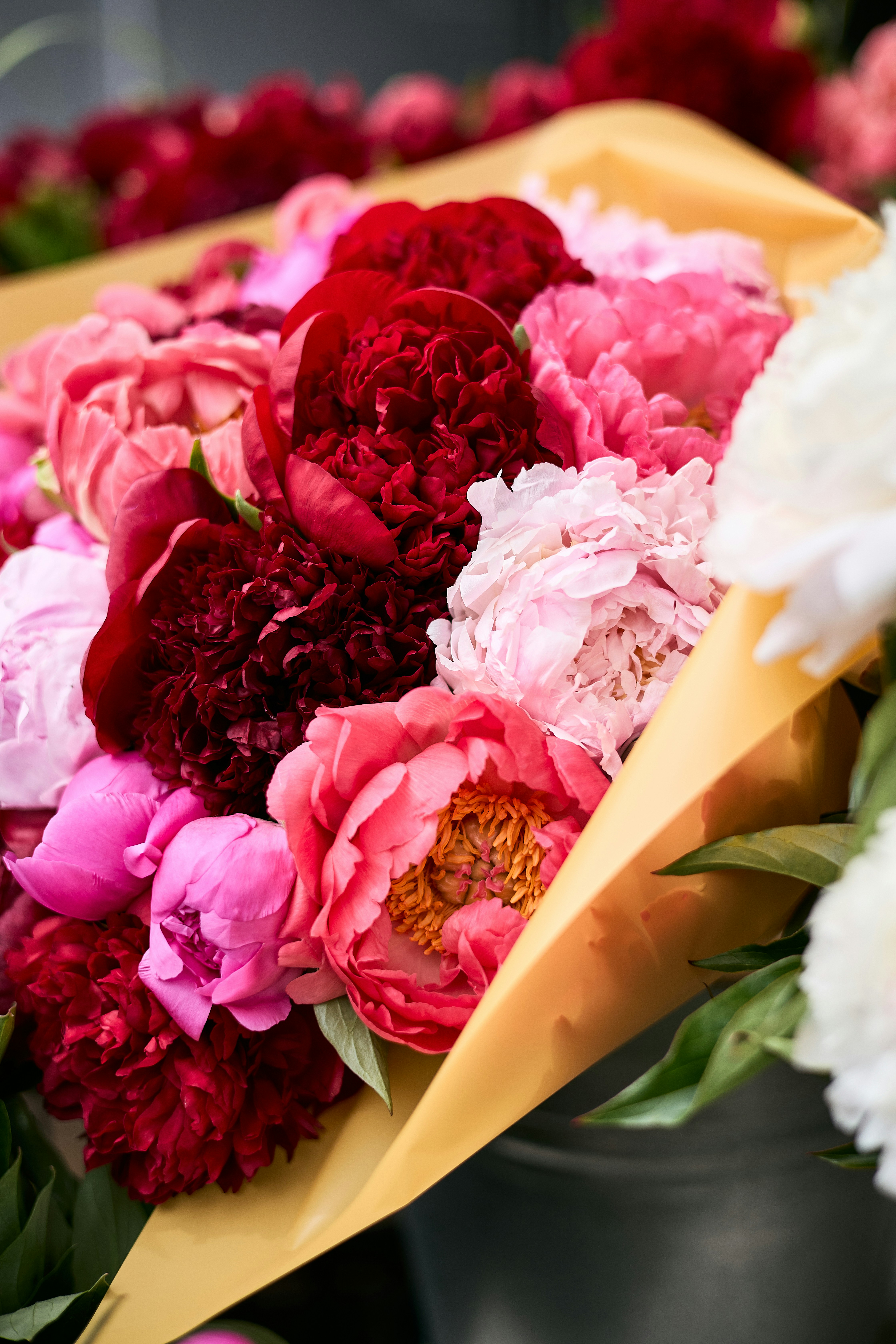 Photo by ann_leo_photo