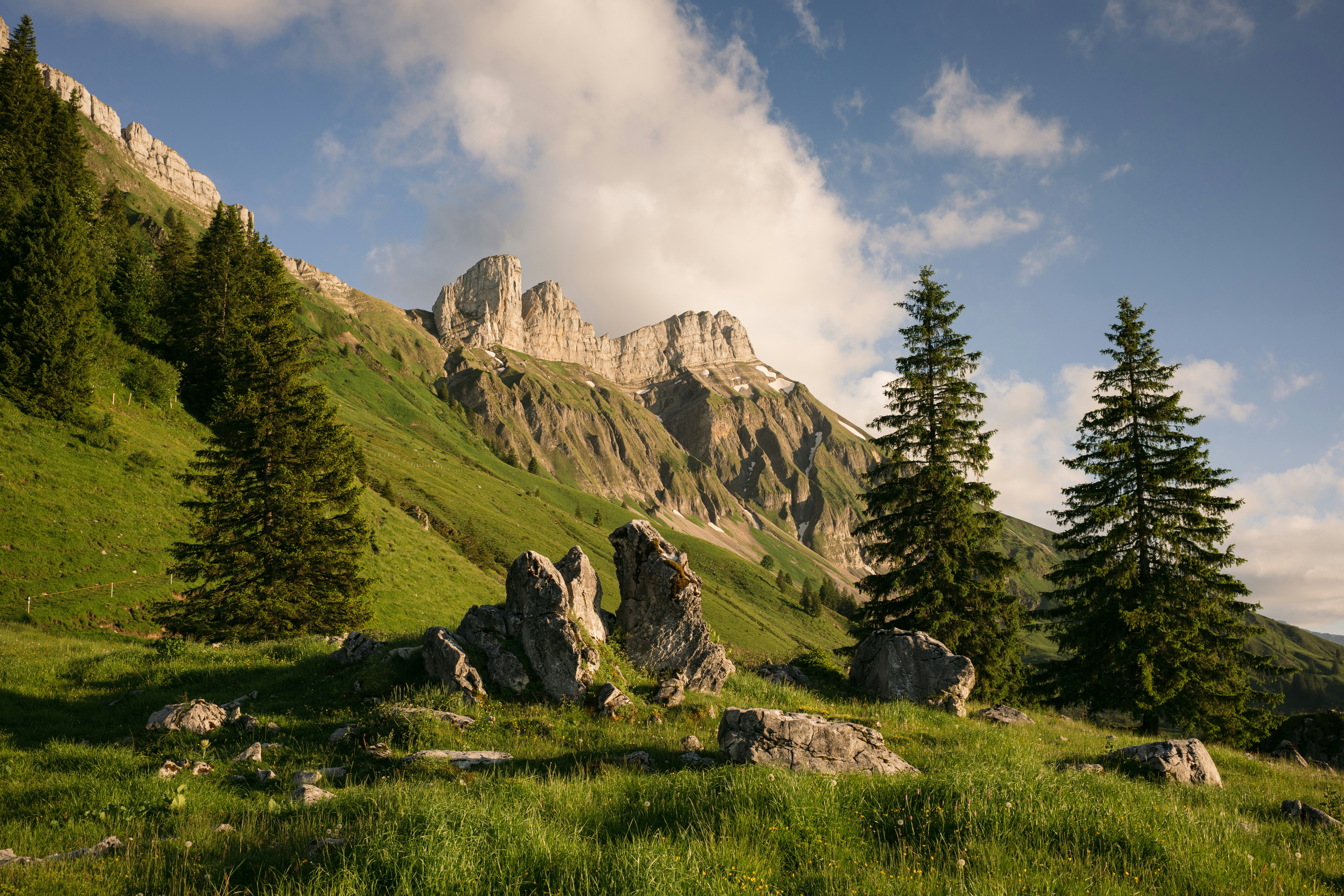 Photo by fabianbetto