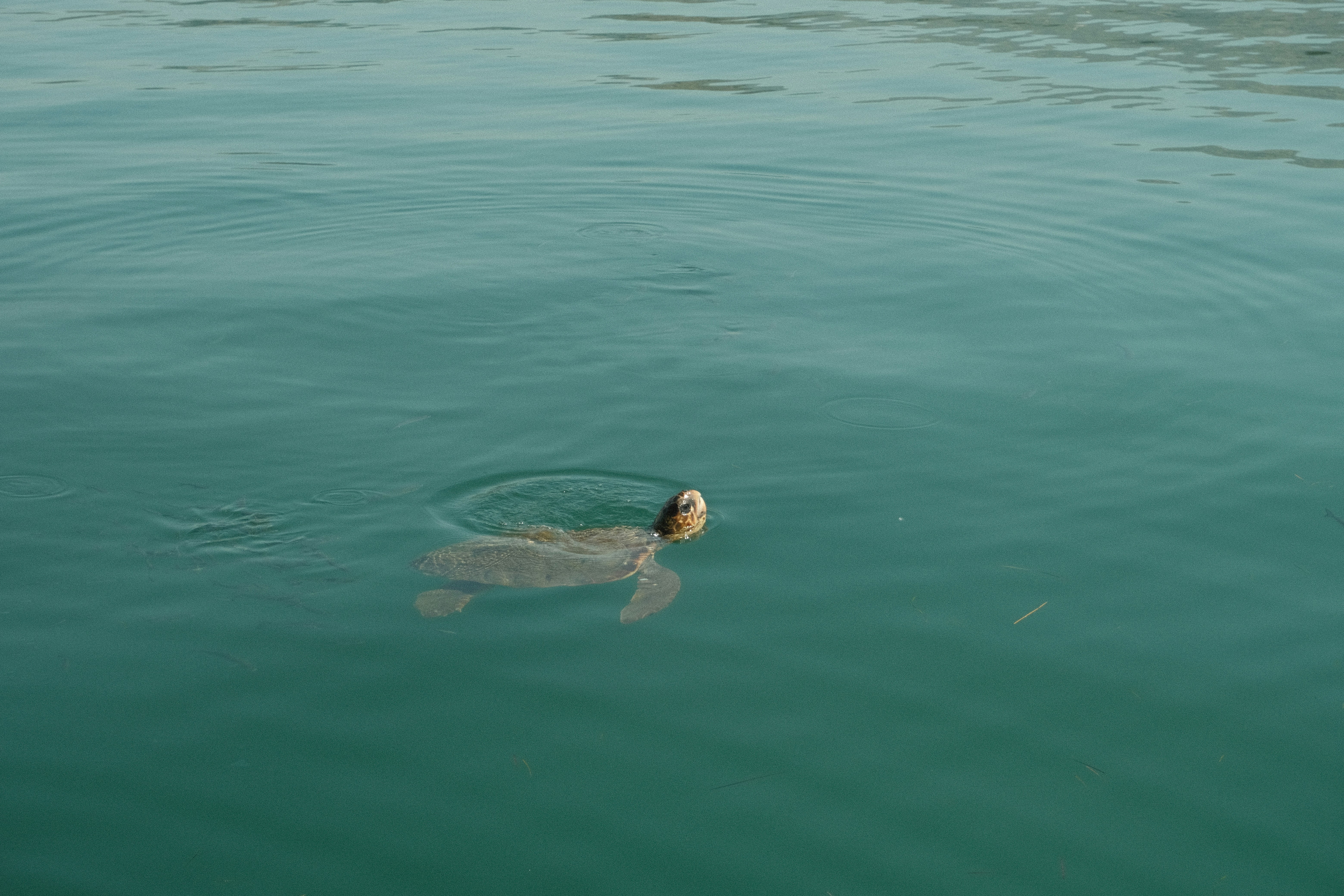 Photo by jack_barton