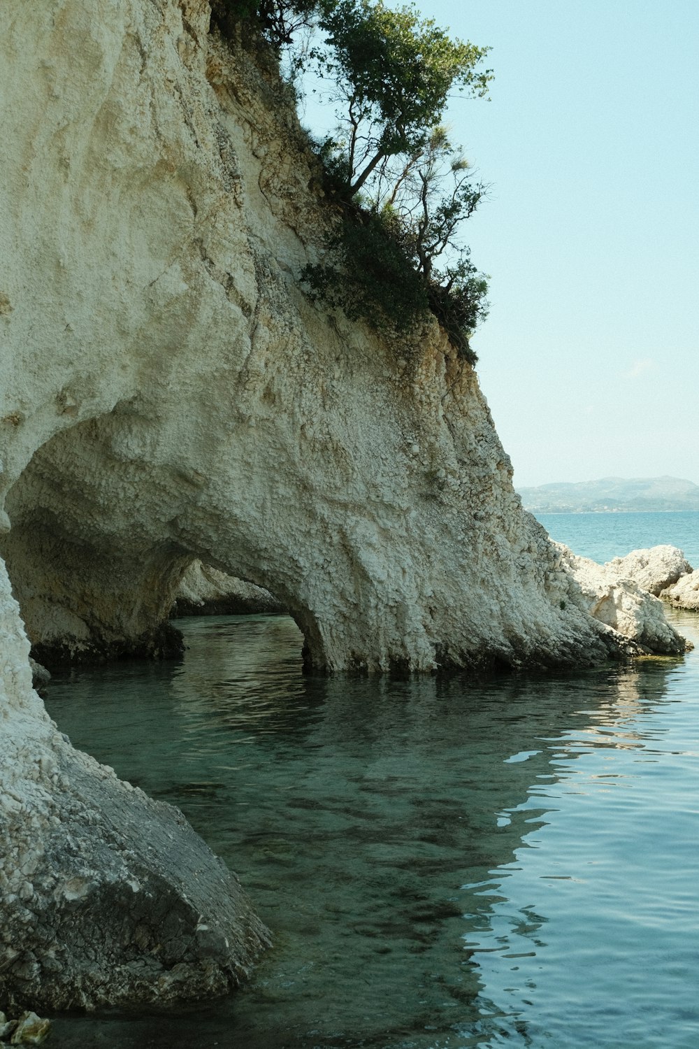 a tree on a cliff over water