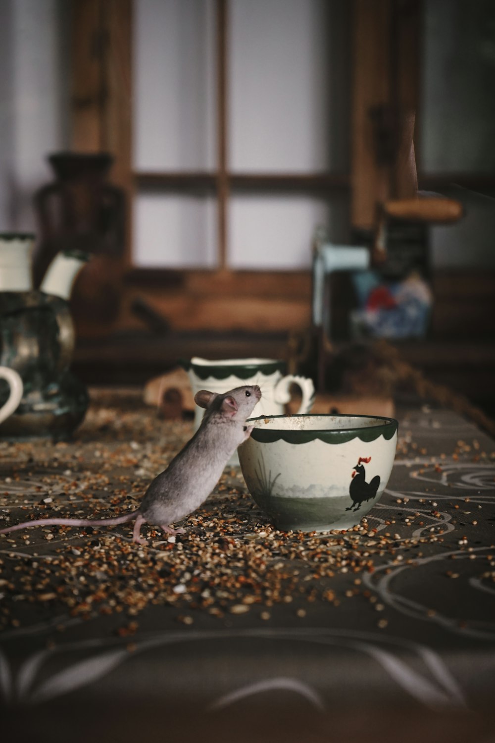 a small animal on a table
