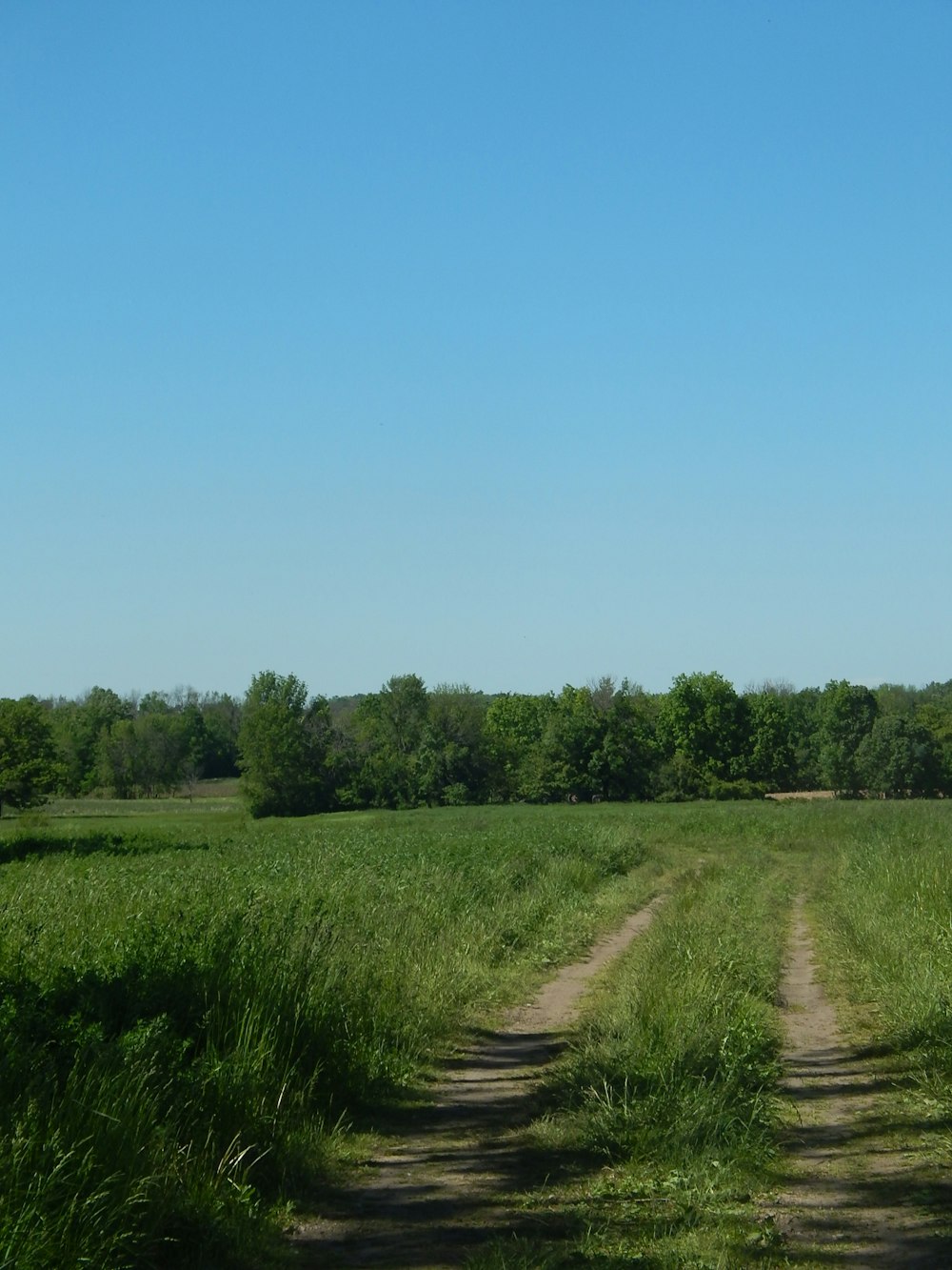 a dirt road through a field