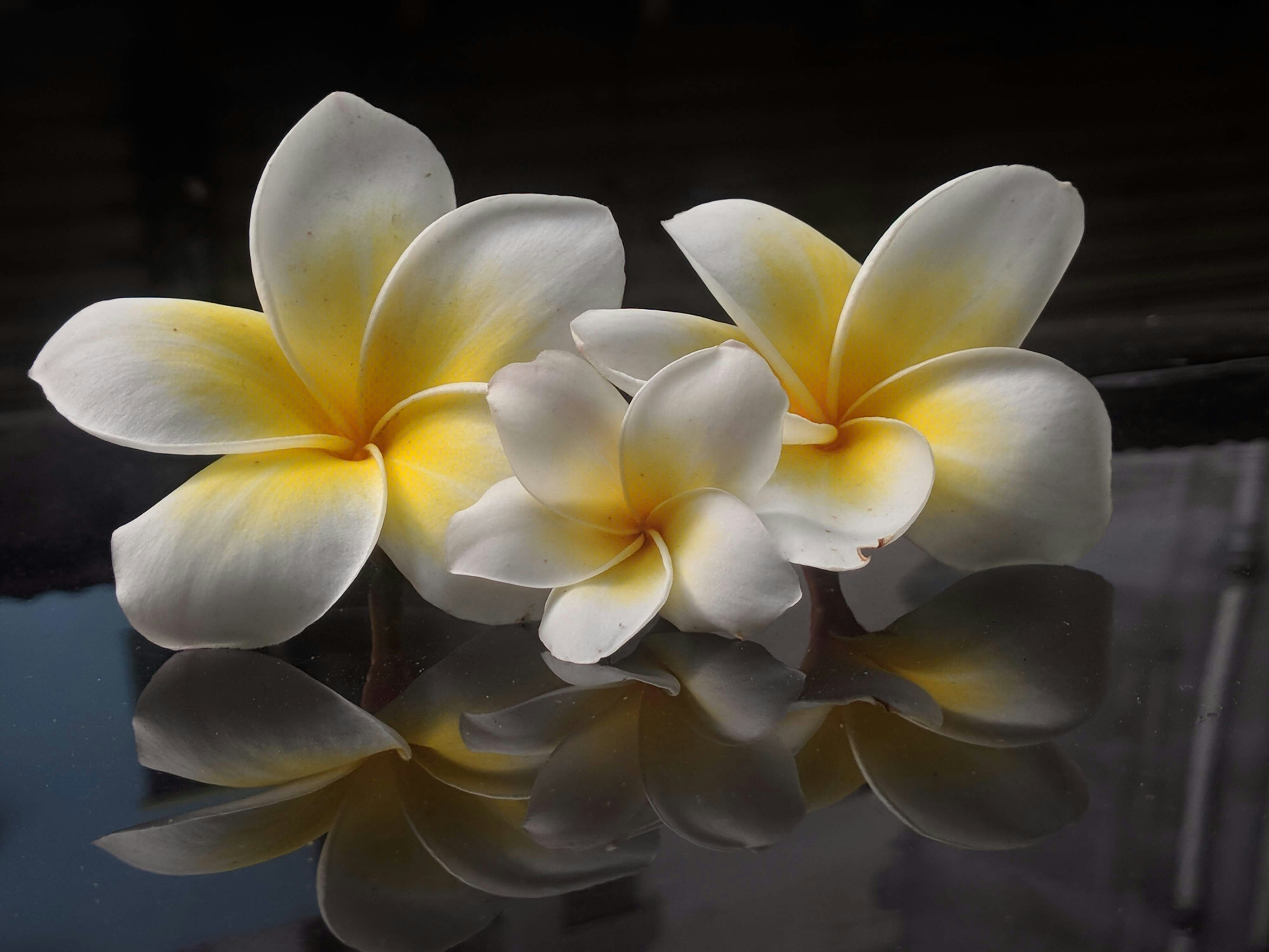 Photo by ratul_hasan