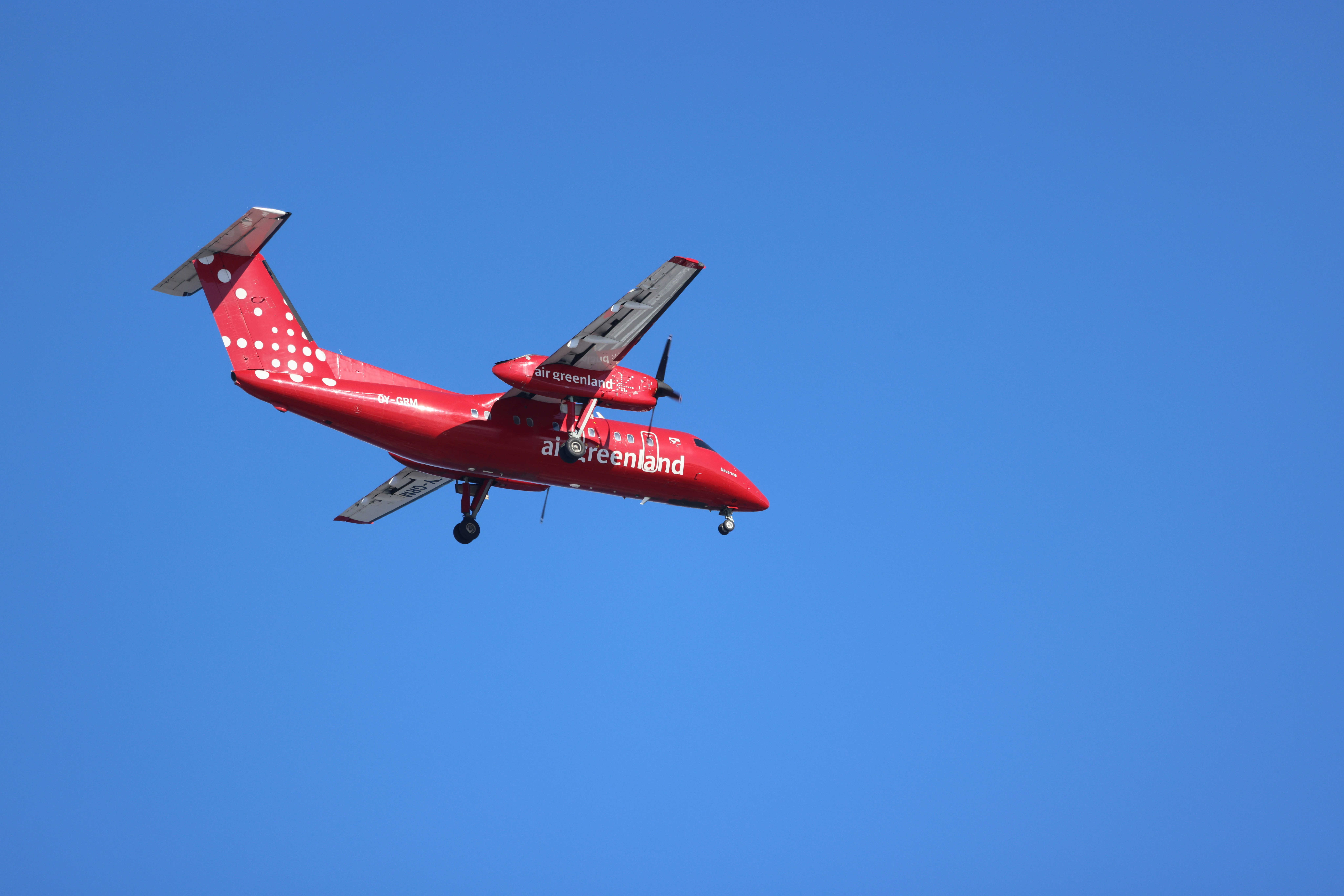 Featured image of post compound-engineering-plugin