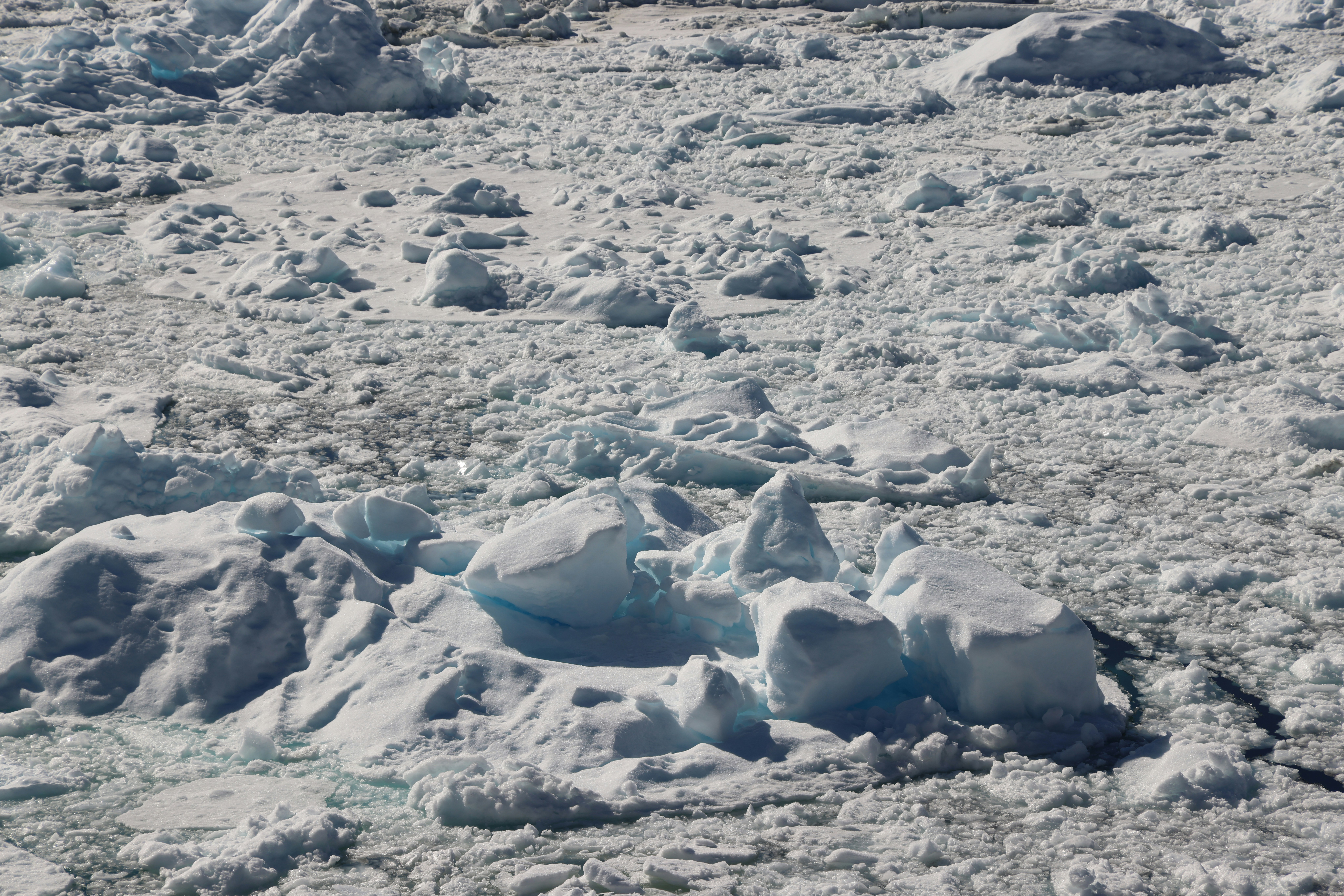 Why Barn Raisings Still Happen (Even Without Barns)