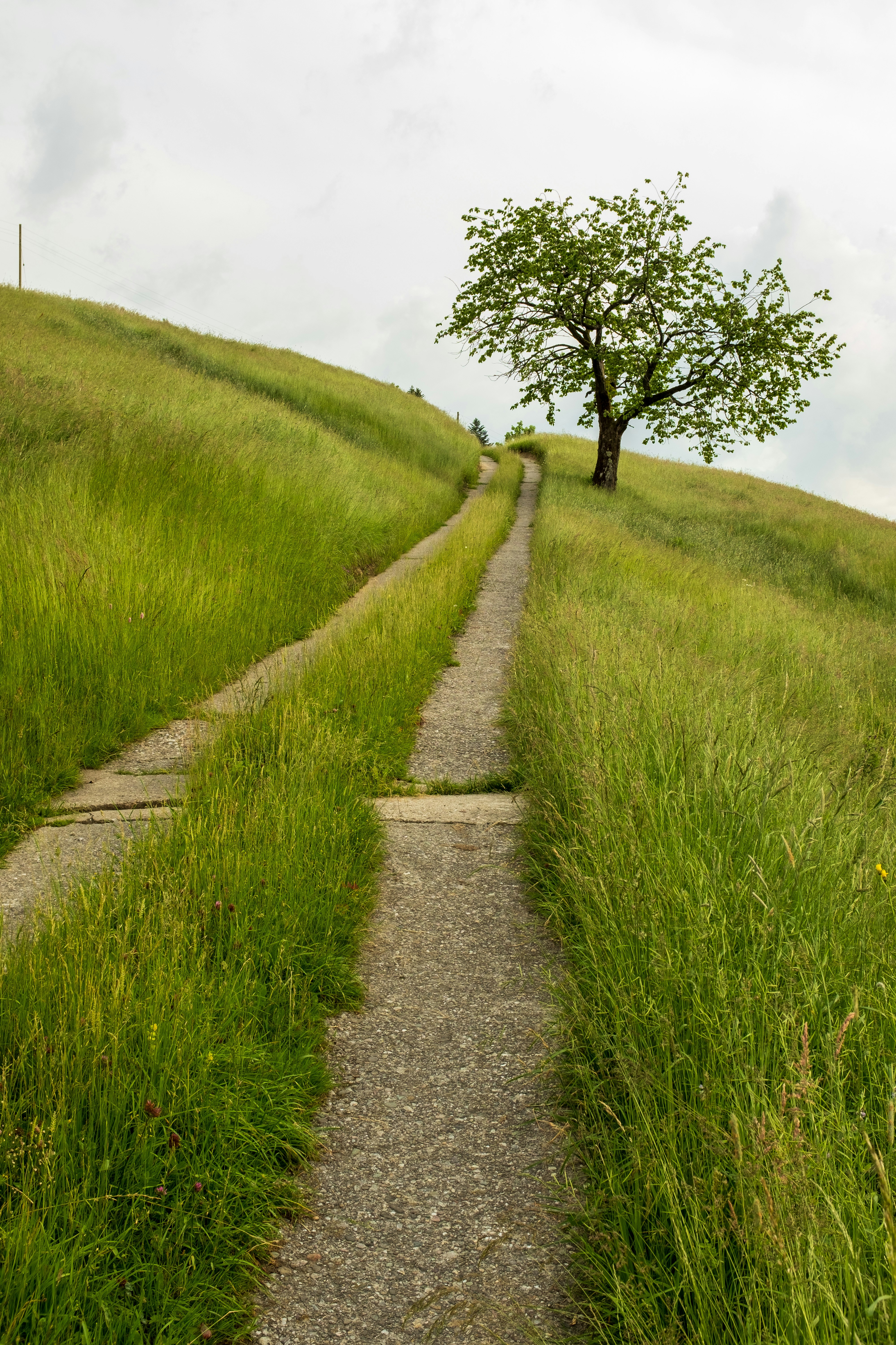 Photo by fabianbetto