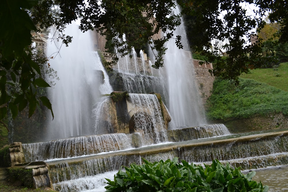 a waterfall with trees around it