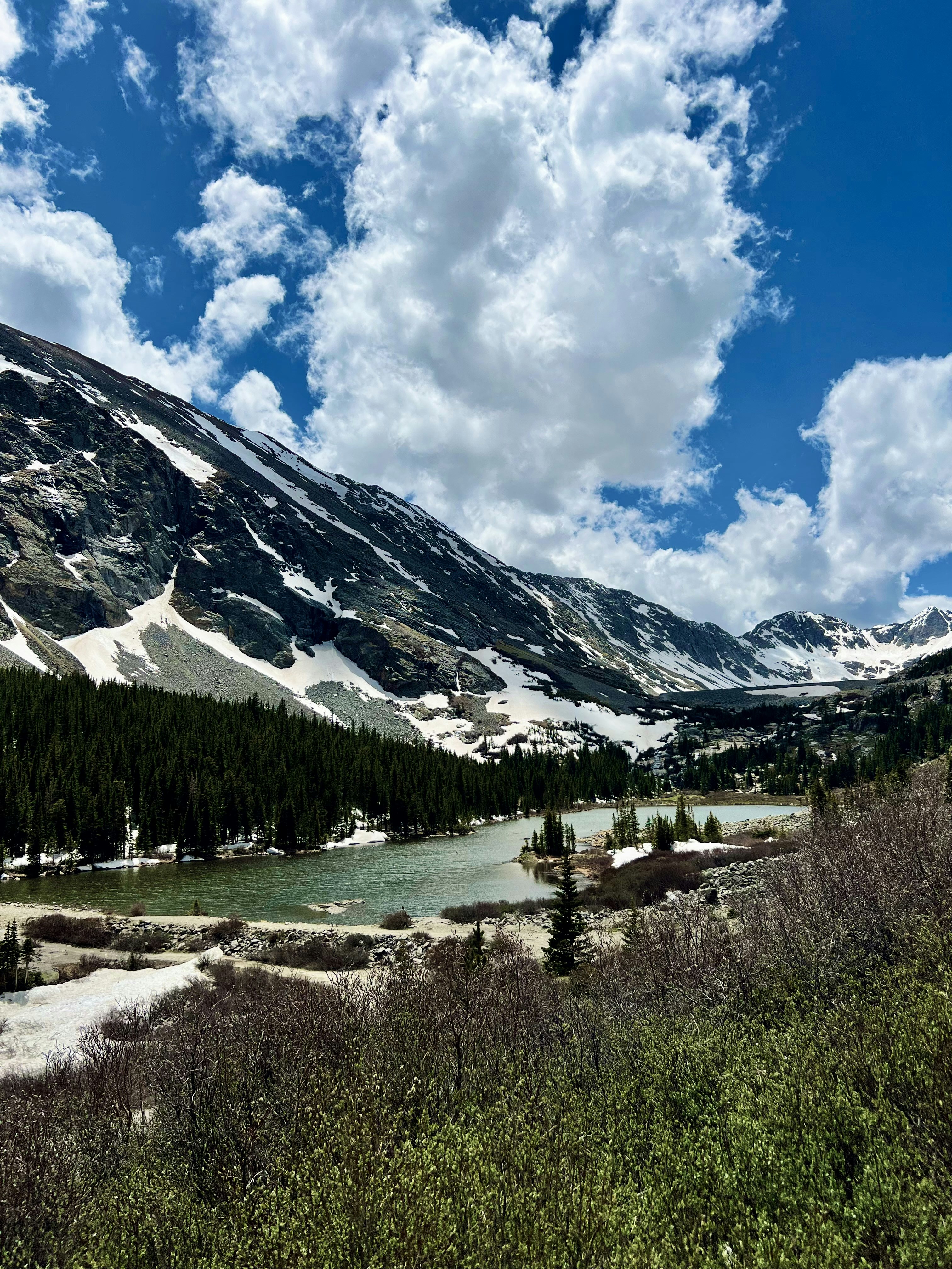 a river running through a valley with trees and mountains in the background