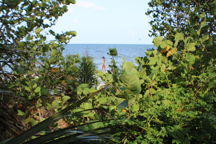 Eco Friendly Resorts