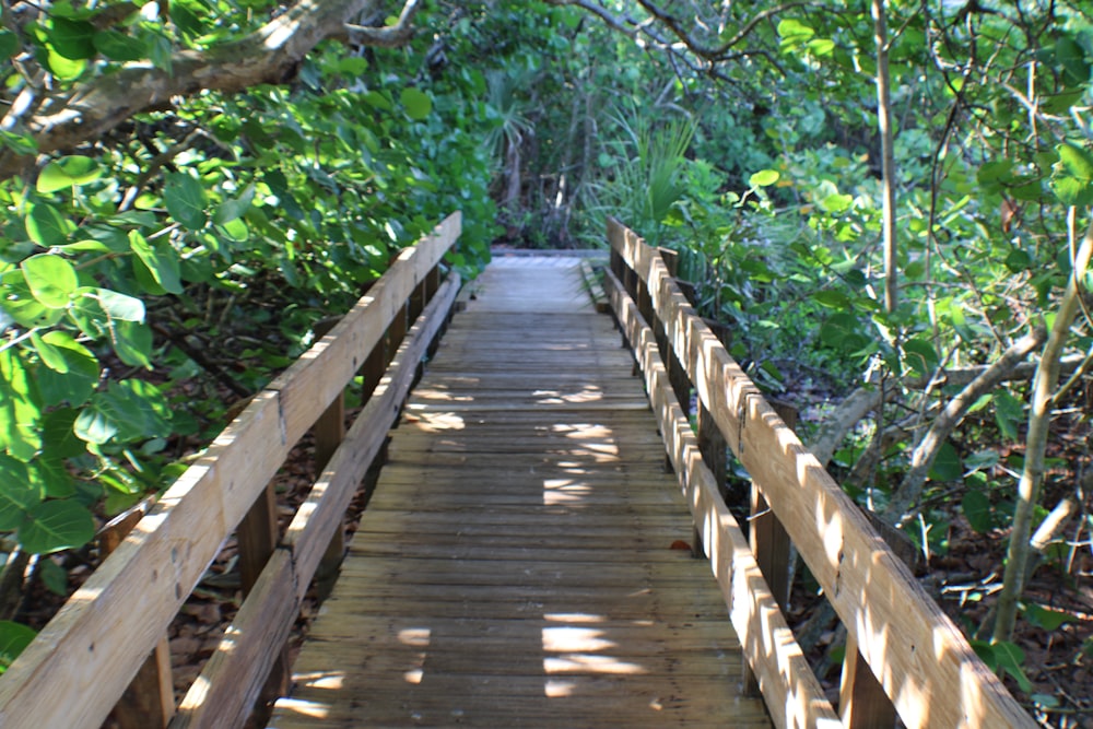 a wooden bridge in the woods