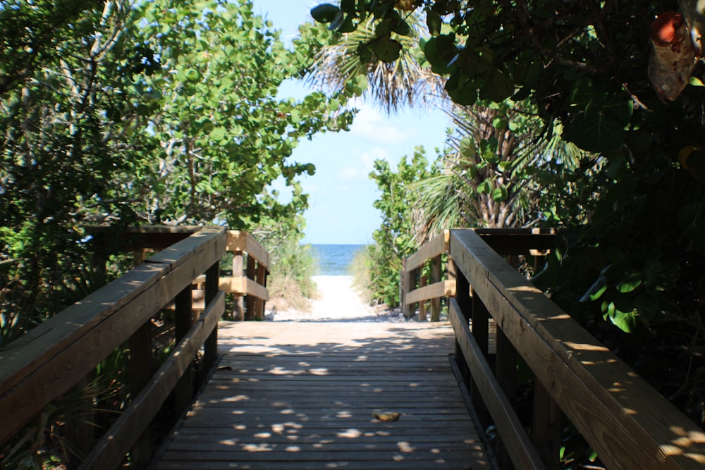 a wooden bridge over a body of water