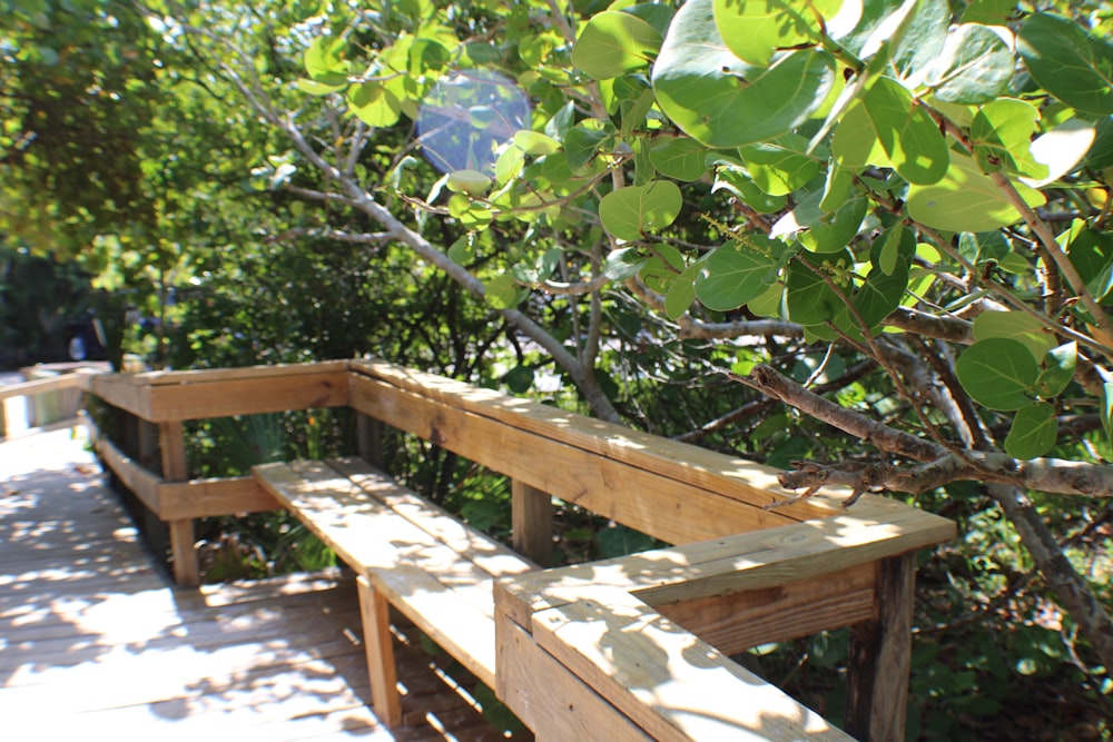 a wooden bench under a tree