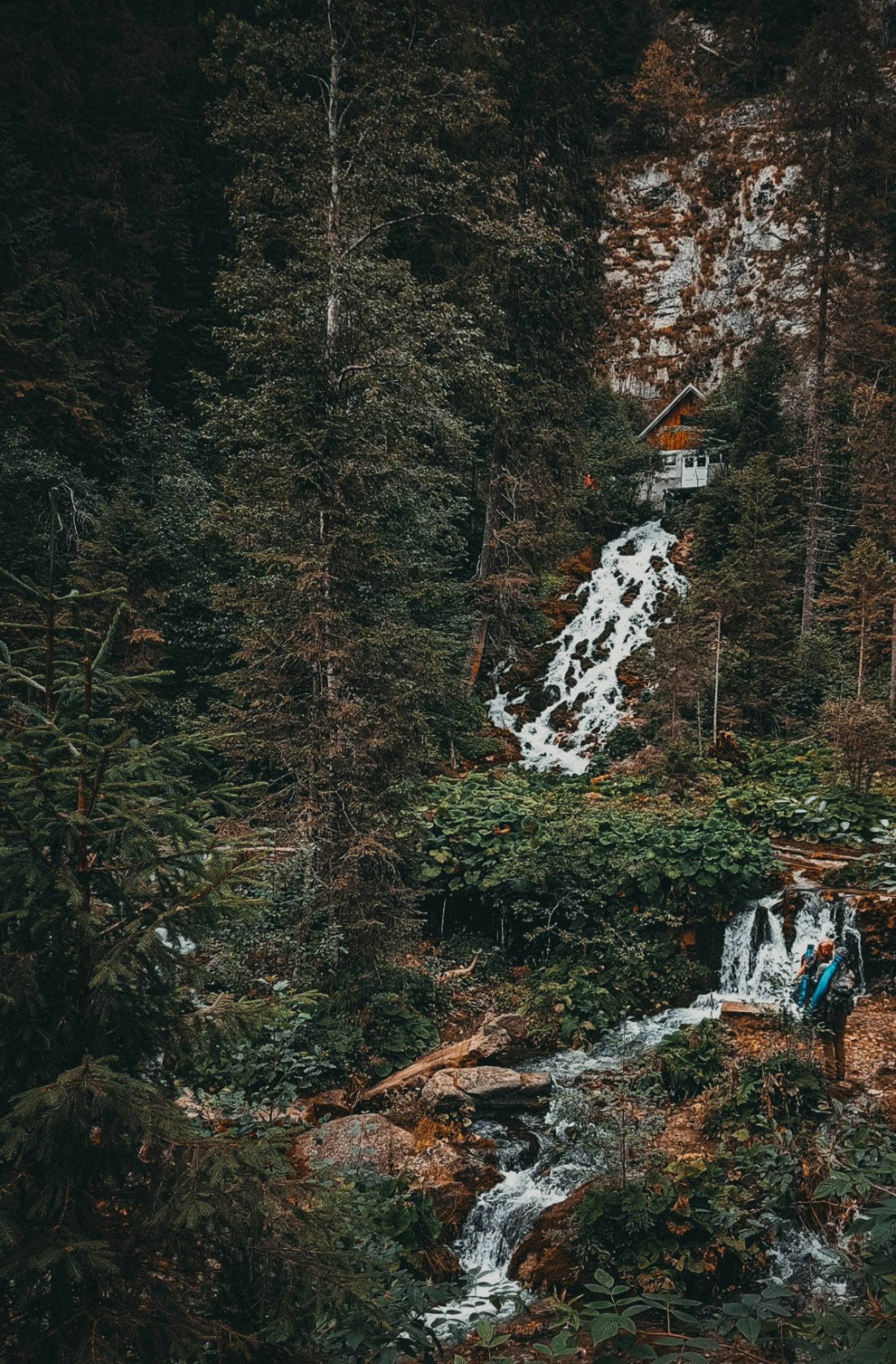 waterfall forest wallpaper, wallpaper, Waterfall Hikes & Camping: Best Spots to Explore 2