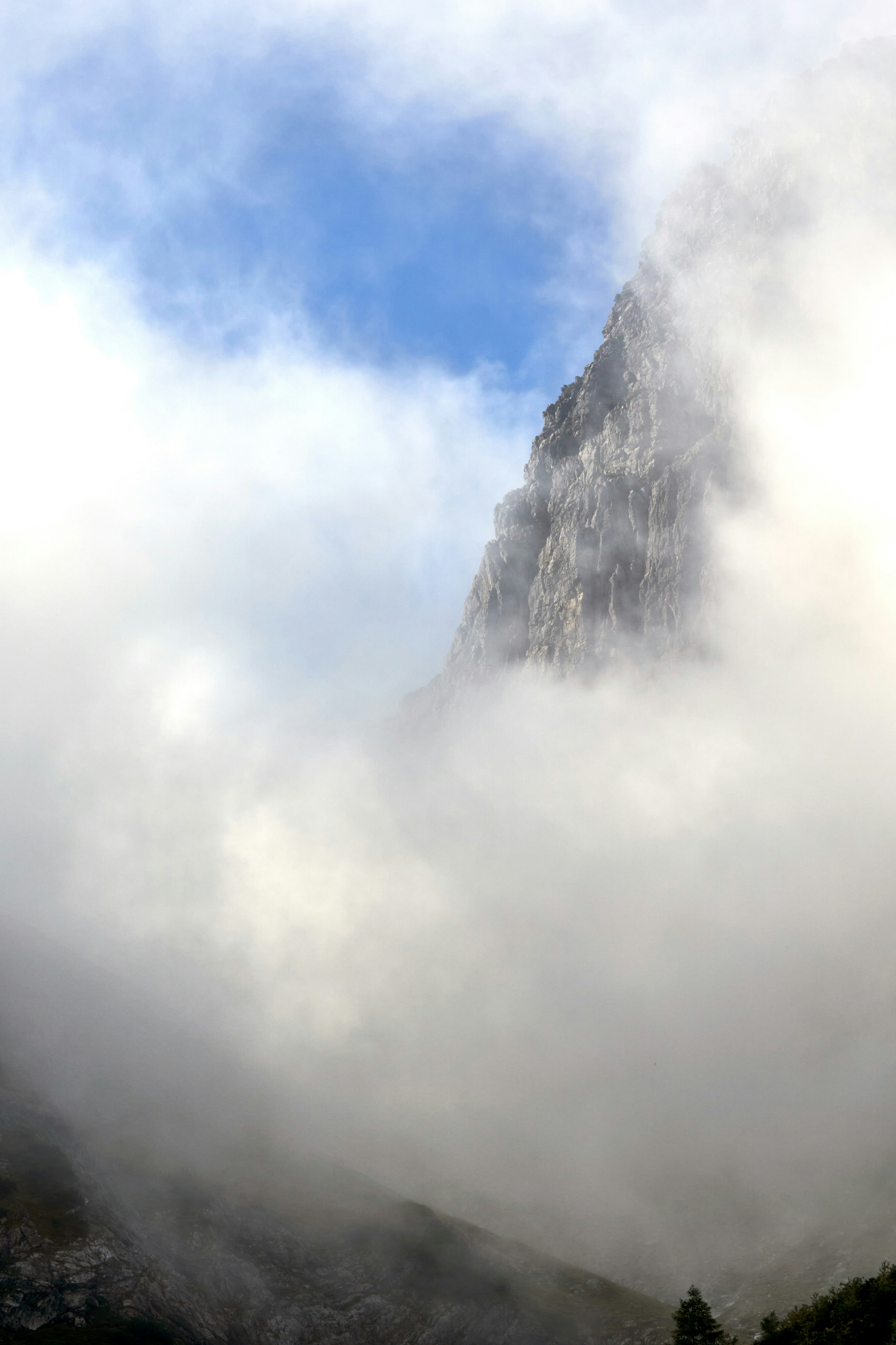 Photo by wolfgang_hasselmann