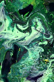 Energetic composition with splashes of silver and green contrasted by warm yellows and black pops.