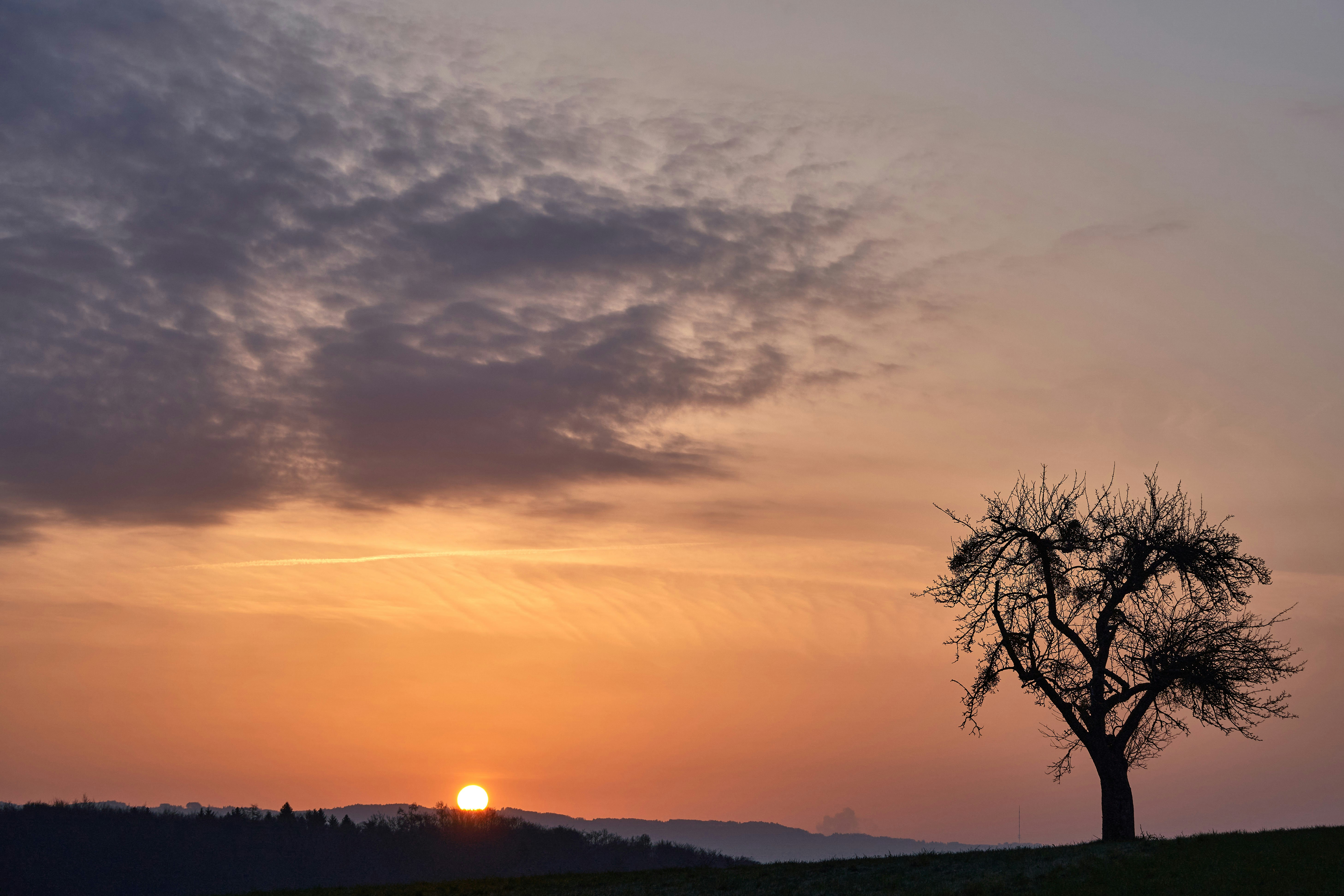 Photo by wolfgang_hasselmann