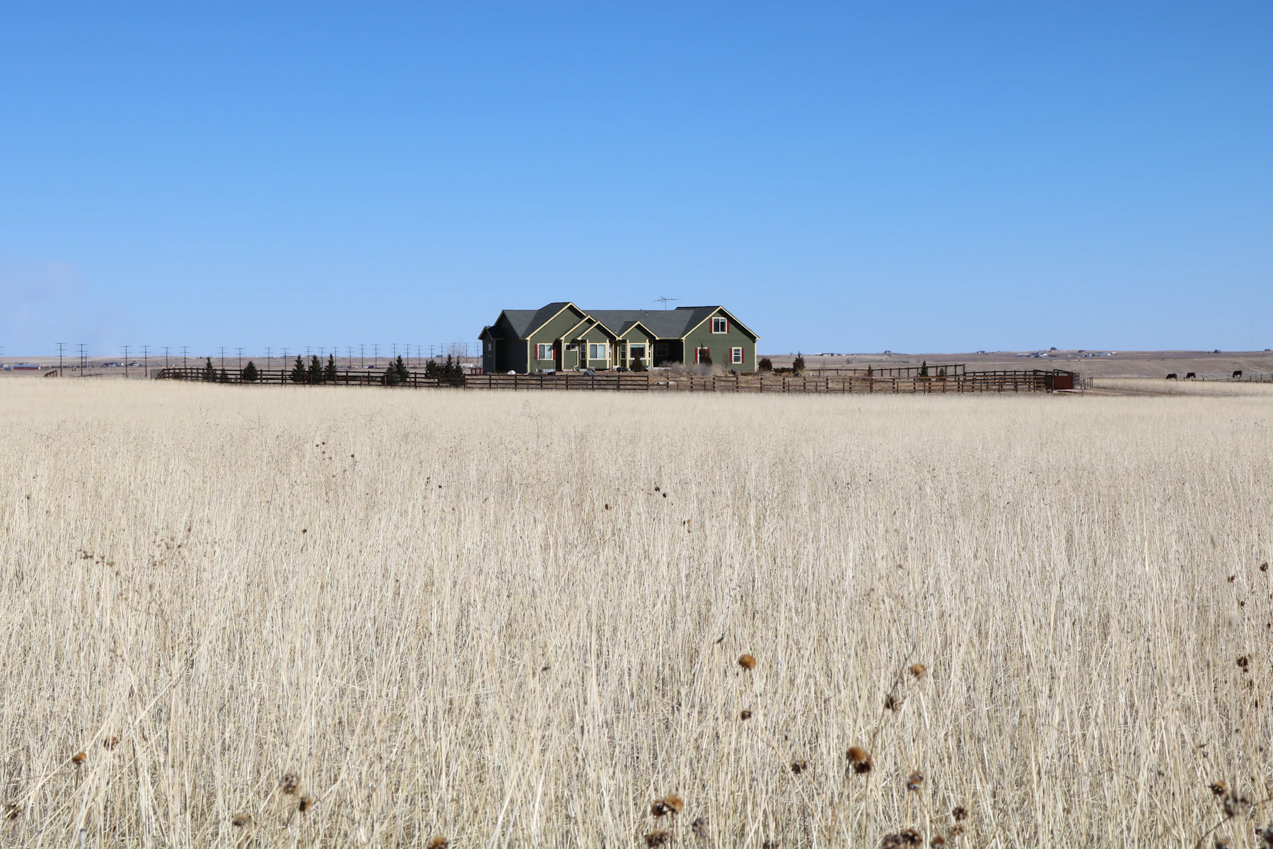 A lone ranch house in a pale field of dry grass under a blue sky