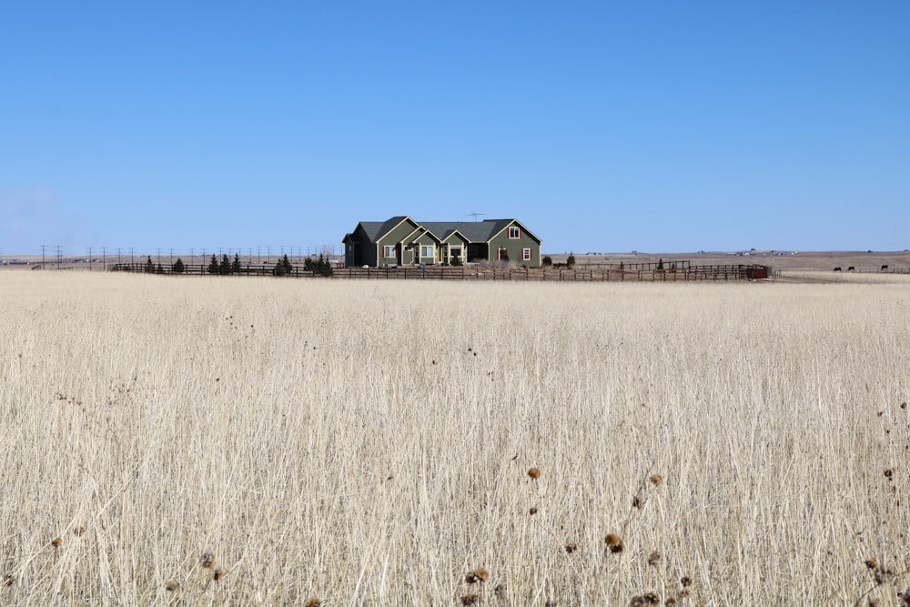 a house in a field