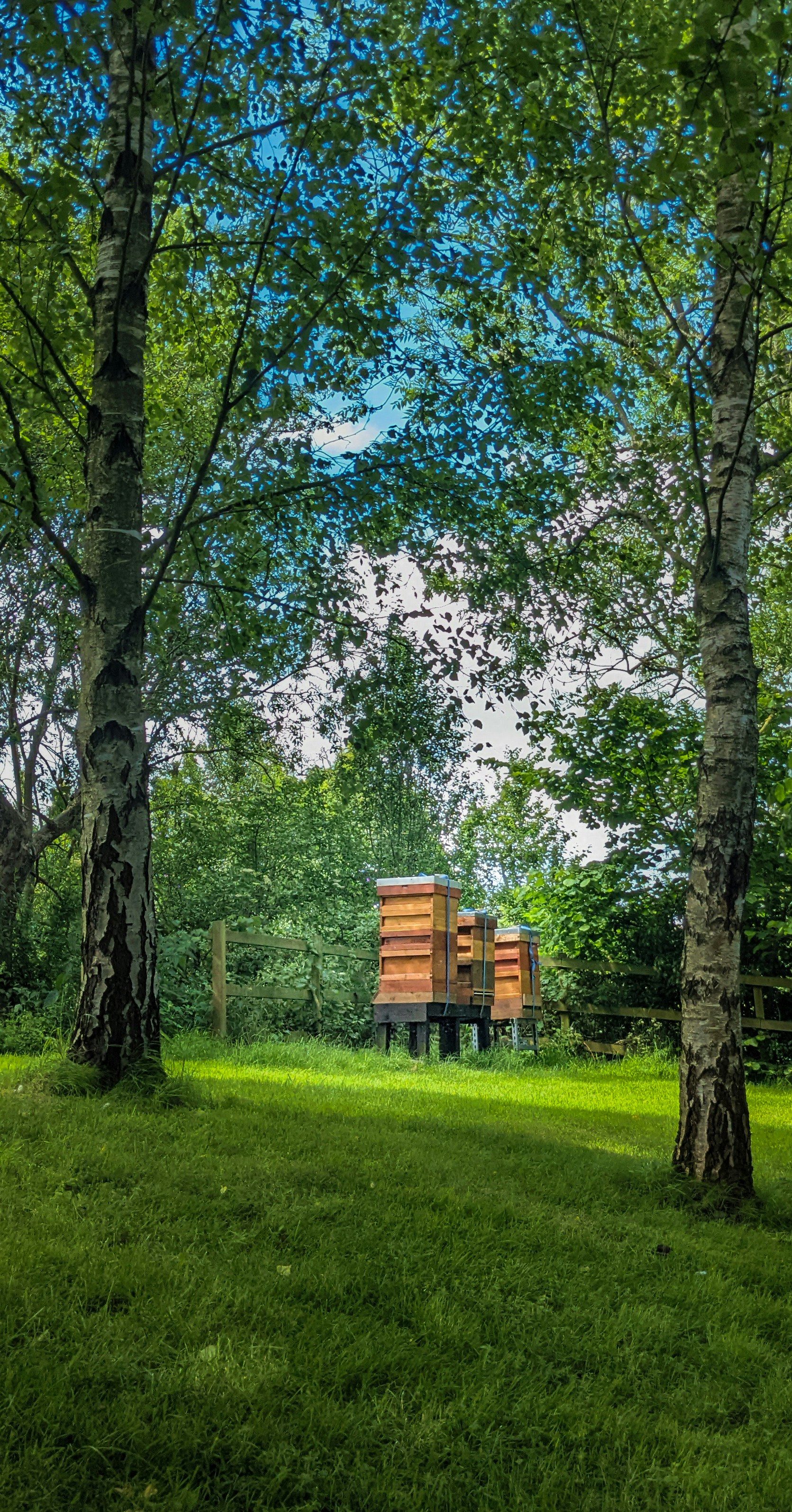 Ein roter Lastwagen, der auf einem Feld geparkt ist