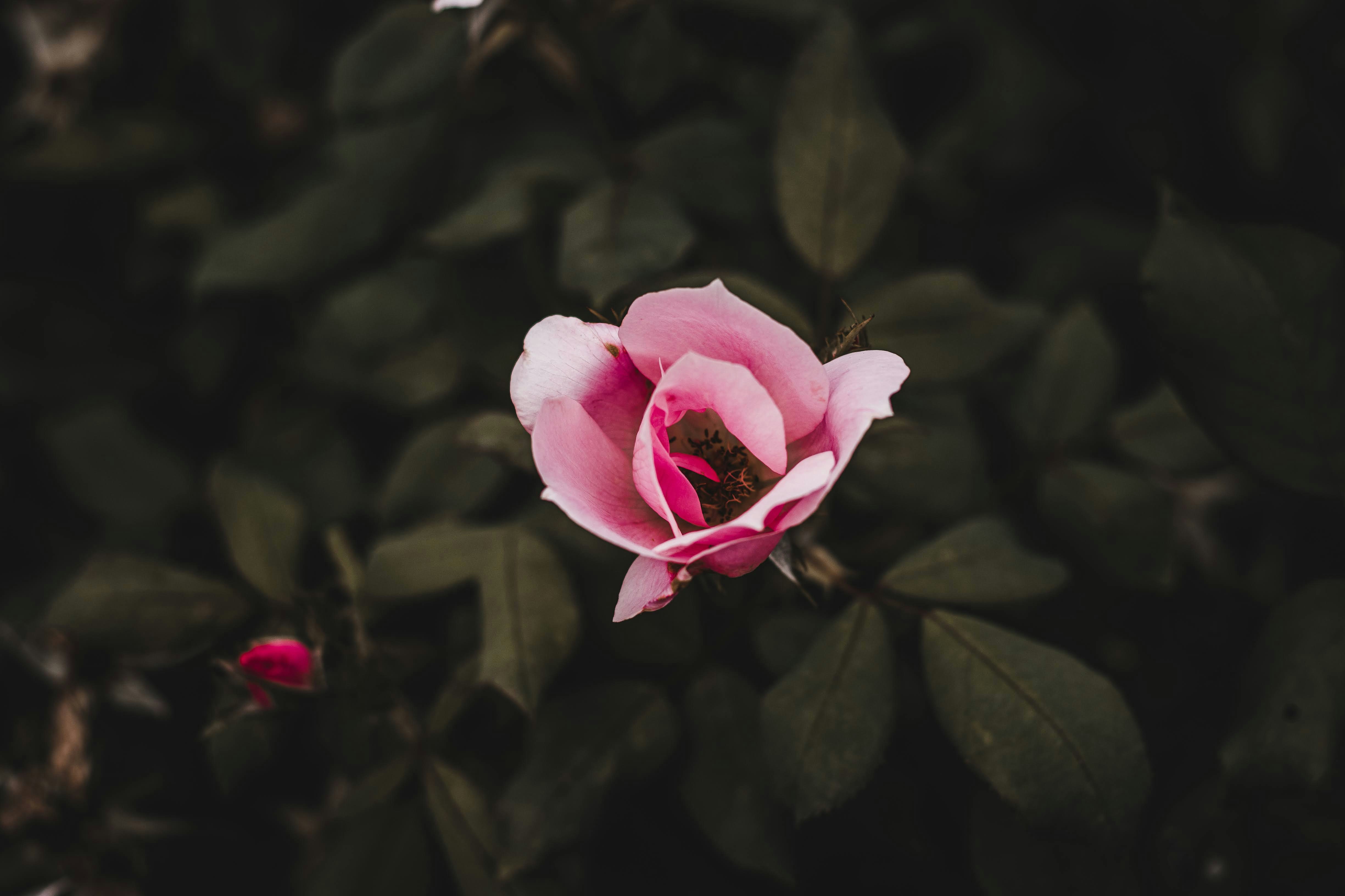 Photo by brice_cooper18