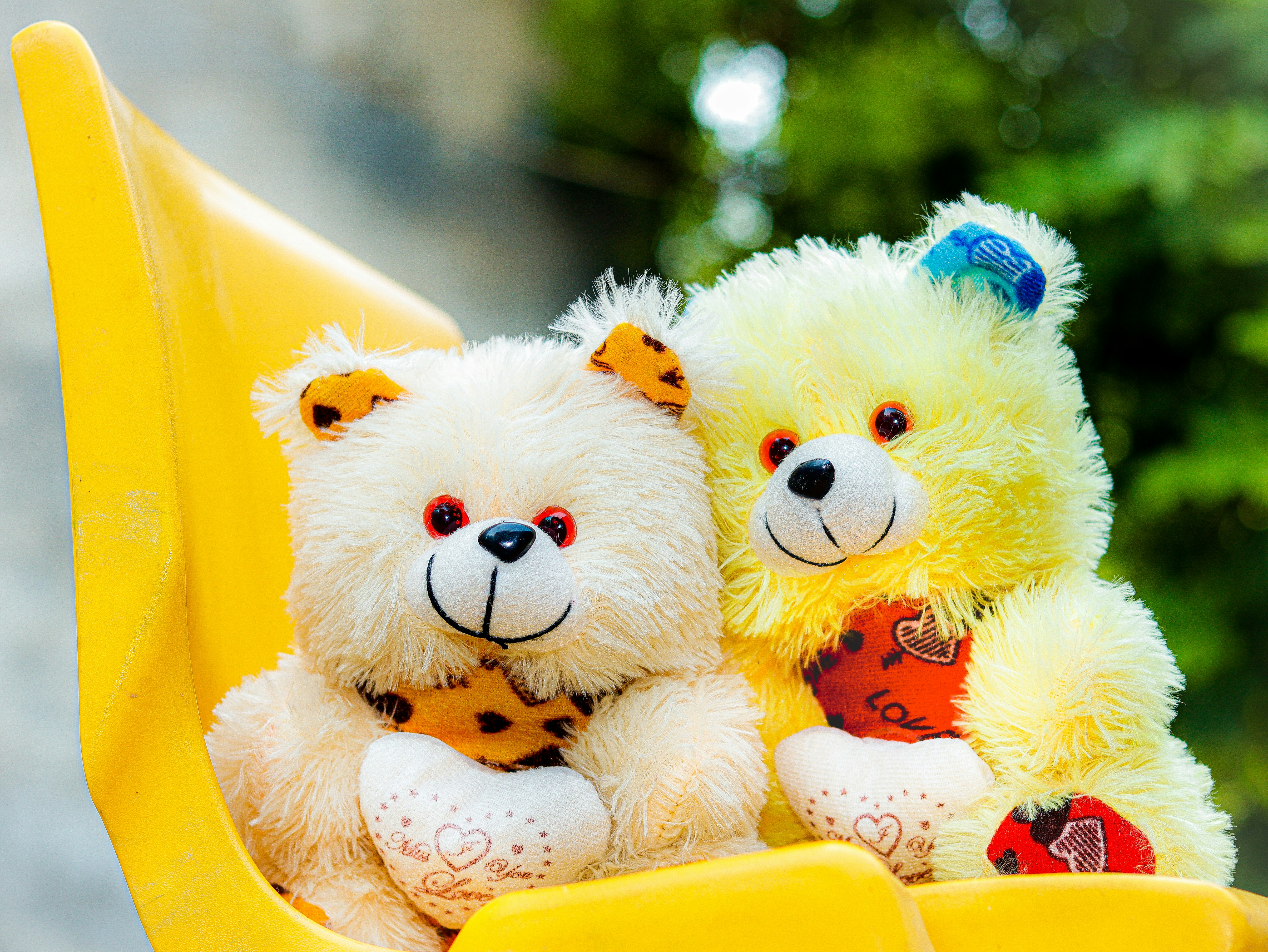 Photo by aneet_singh