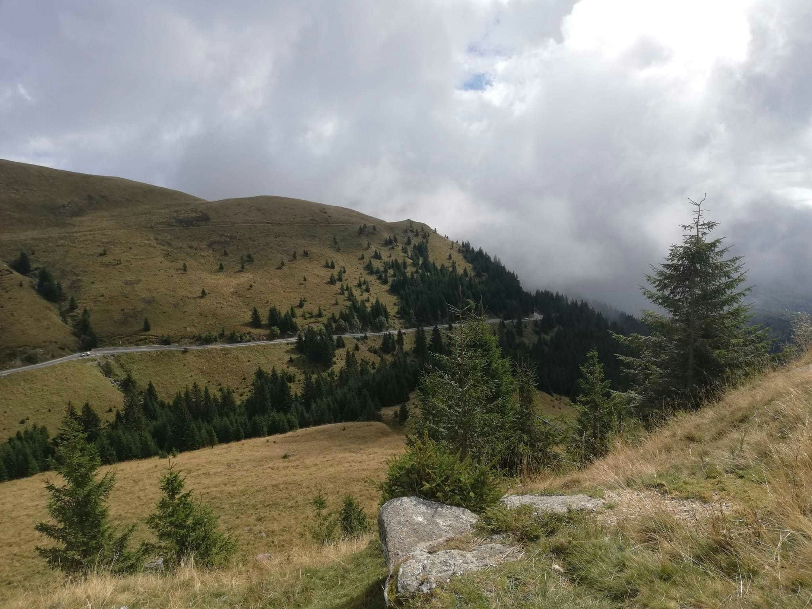 a landscape with trees and hills