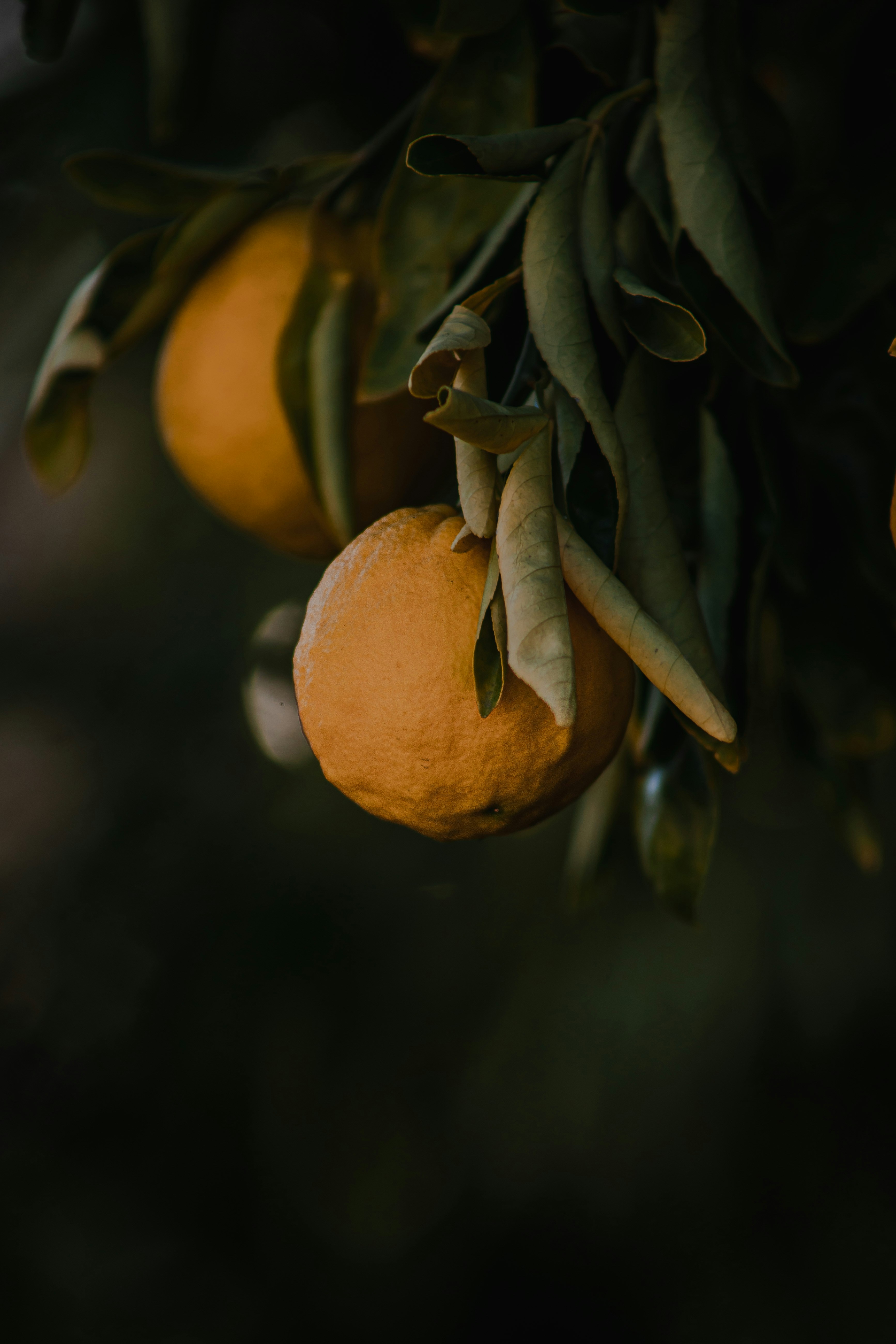 Photo by walterrandlehoff