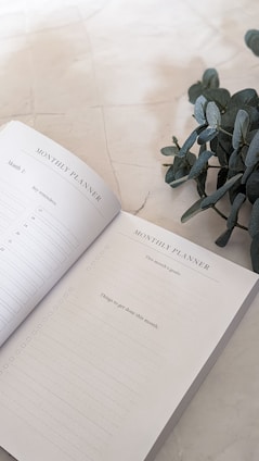 An open monthly planner lies on a smooth, neutral-colored surface. The pages contain sections for key reminders, goals, and tasks to complete. A branch of eucalyptus leaves is placed beside the planner, adding a touch of greenery and natural texture.