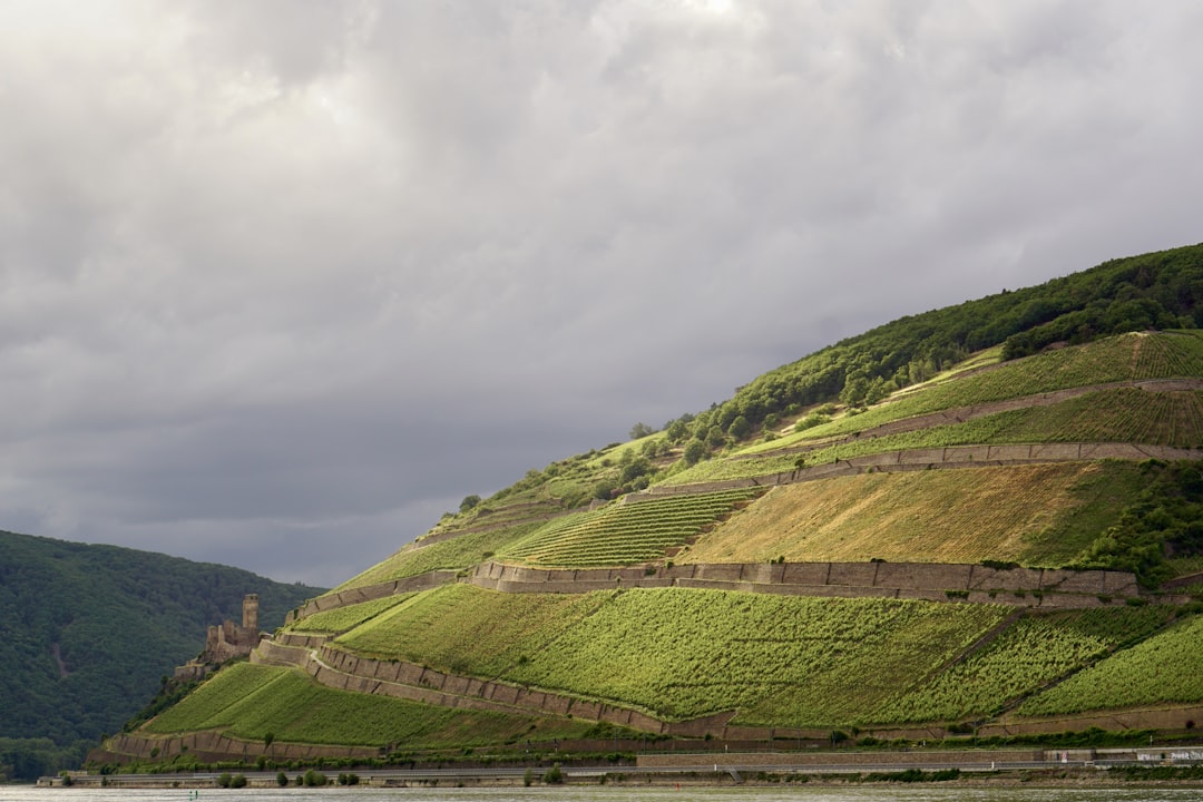 a large green valley with a bridge,