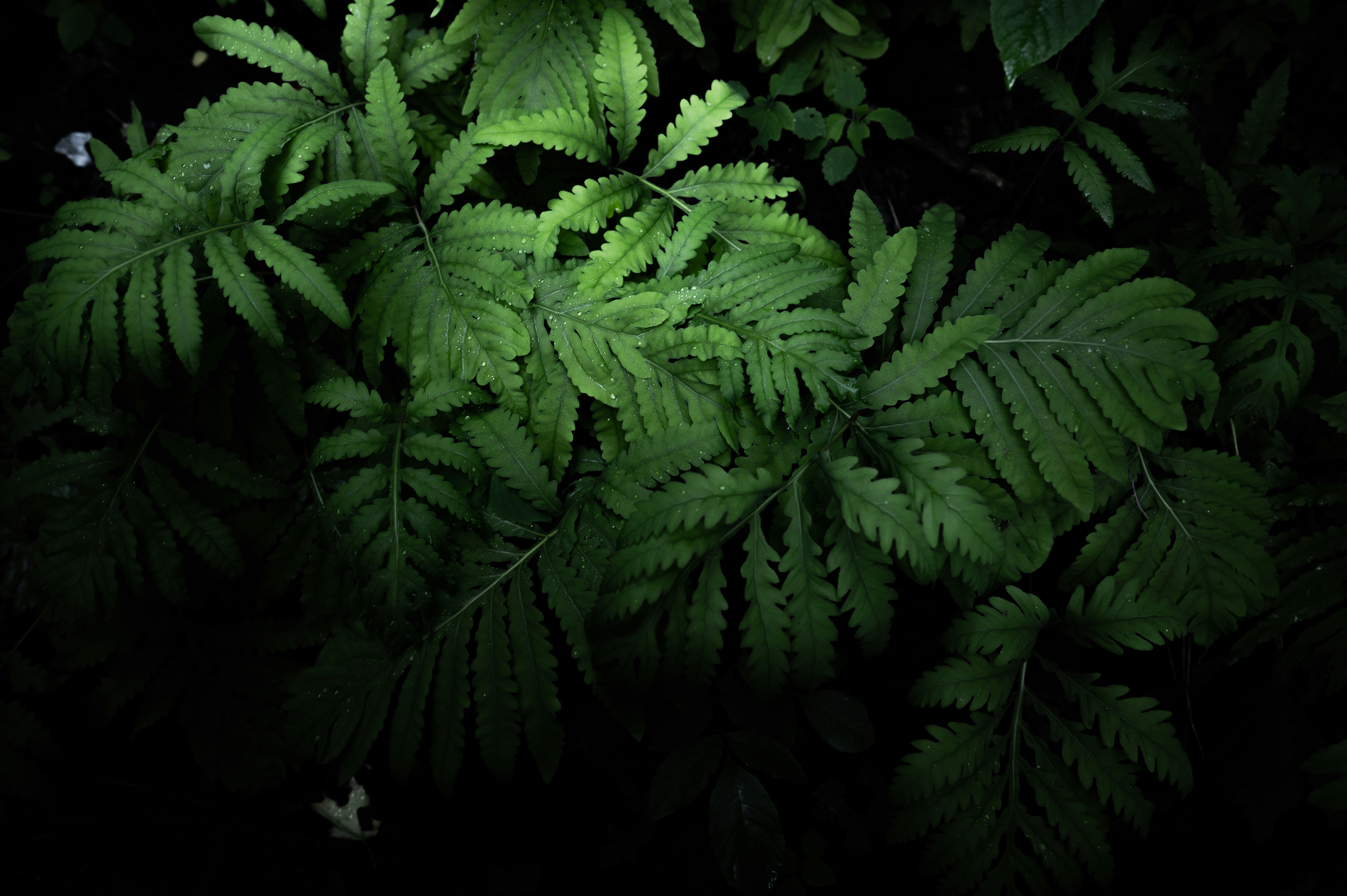 Photo by ryunosuke_kikuno