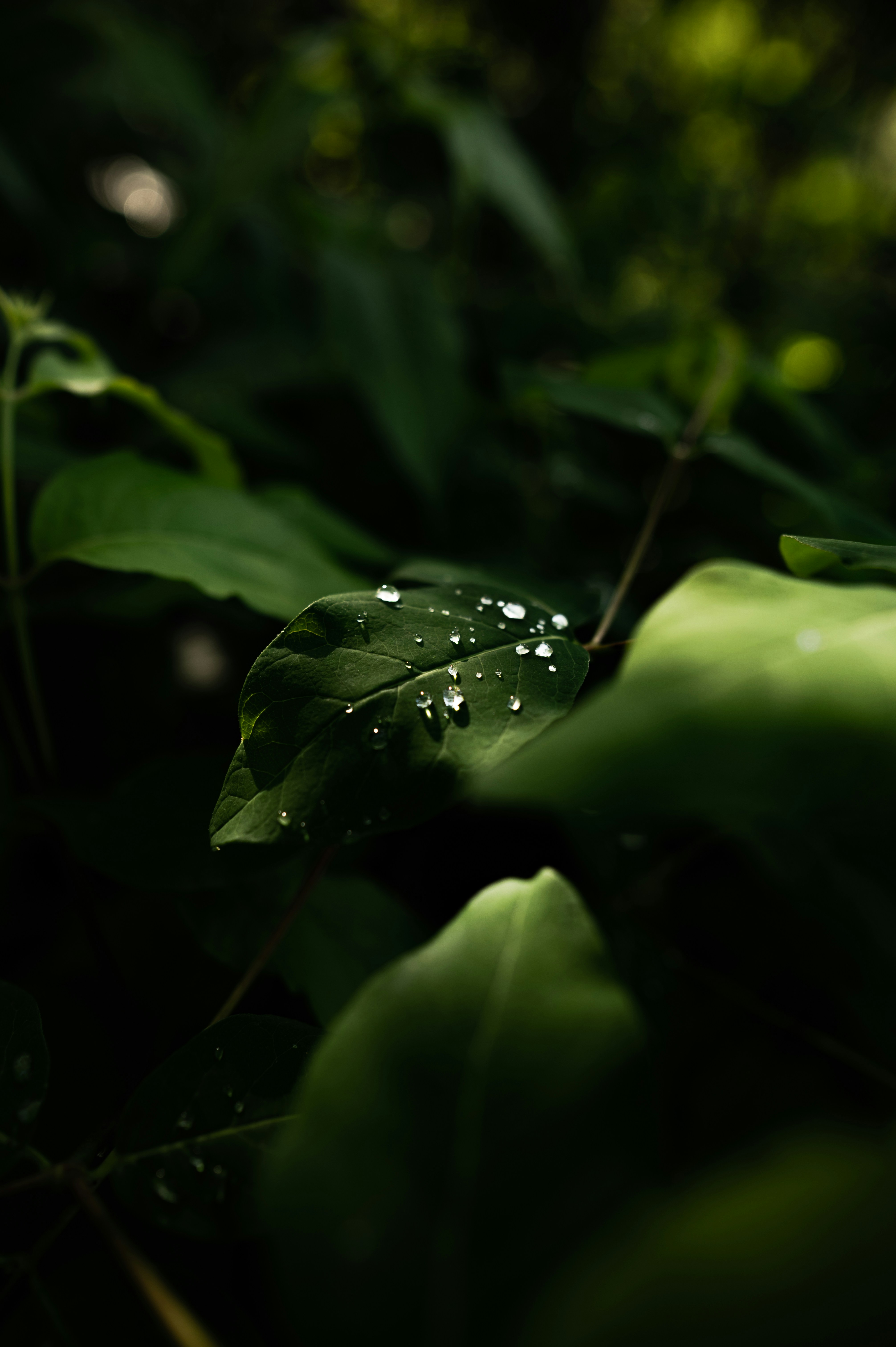 Photo by ryunosuke_kikuno