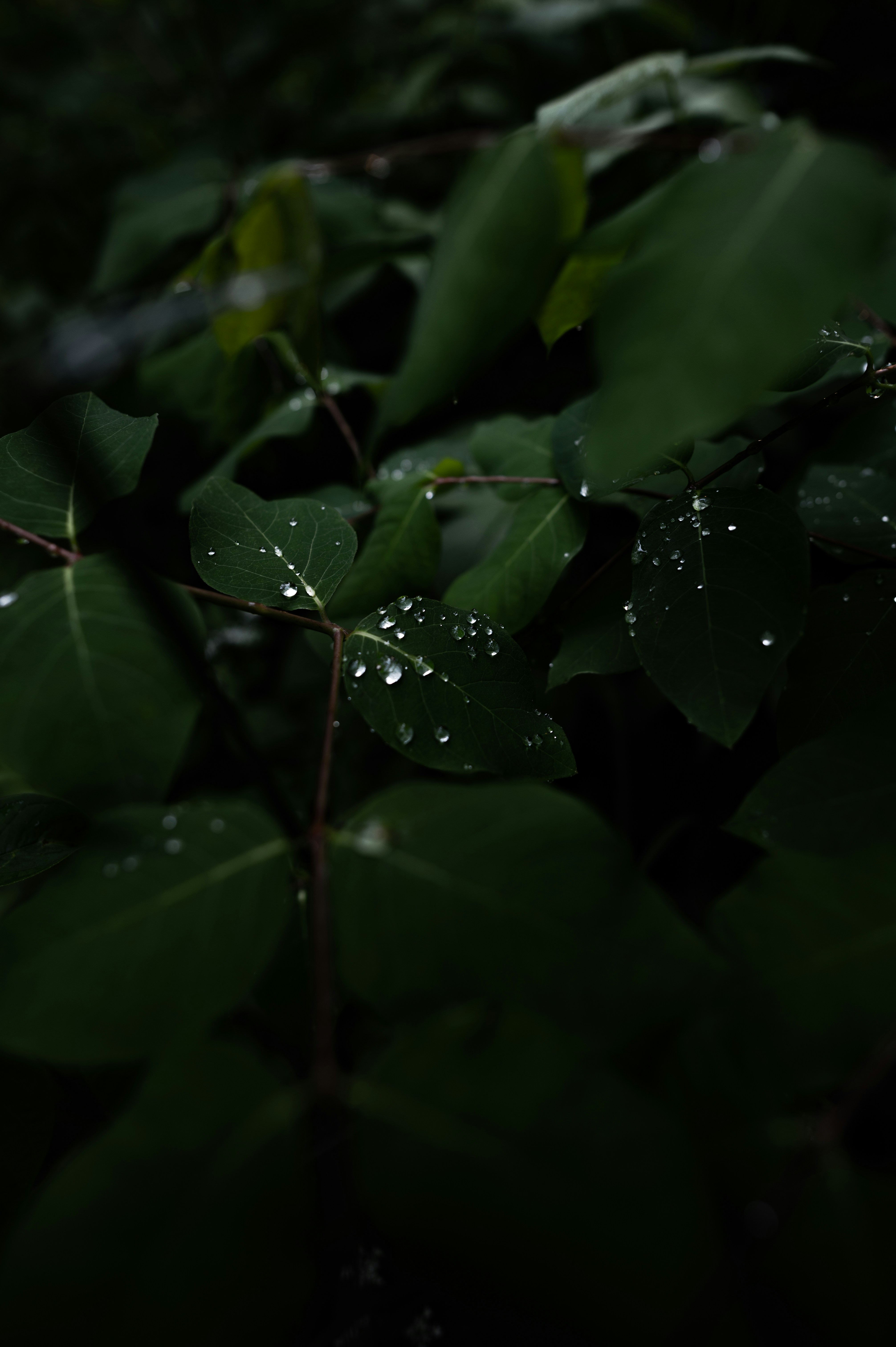 Photo by ryunosuke_kikuno