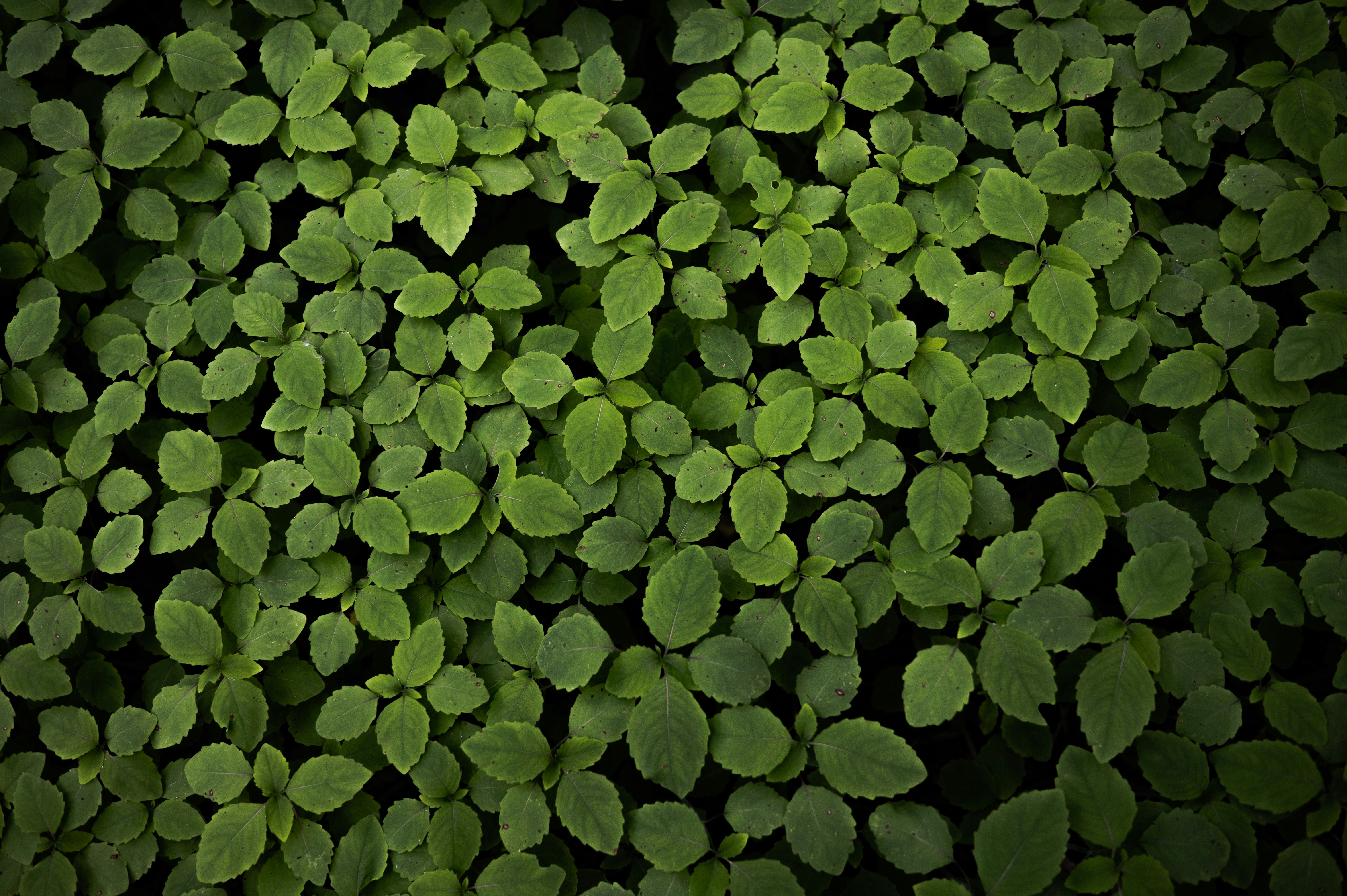 Photo by ryunosuke_kikuno