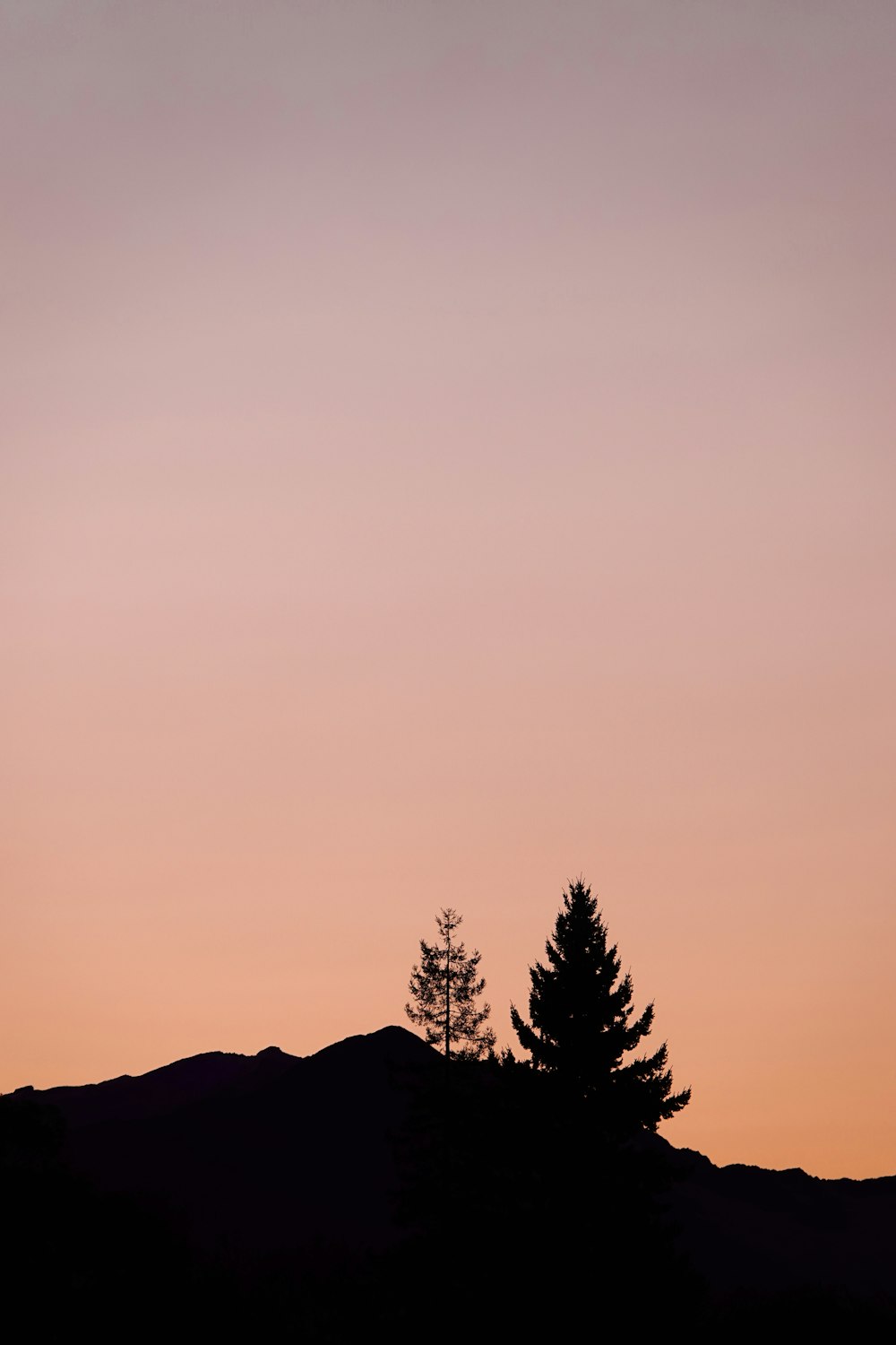 a silhouette of trees on a hill
