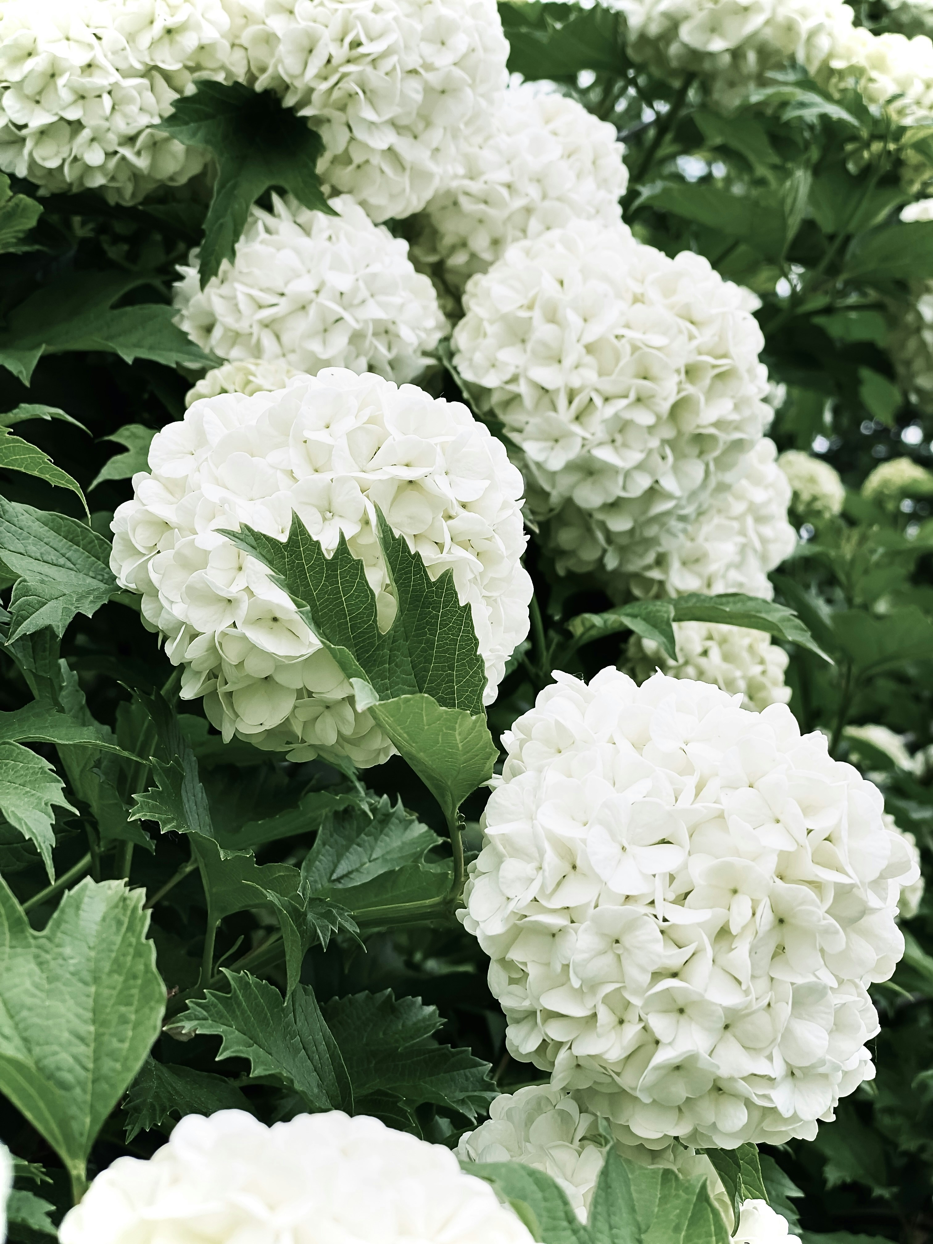 Photo by eugene_golovesov