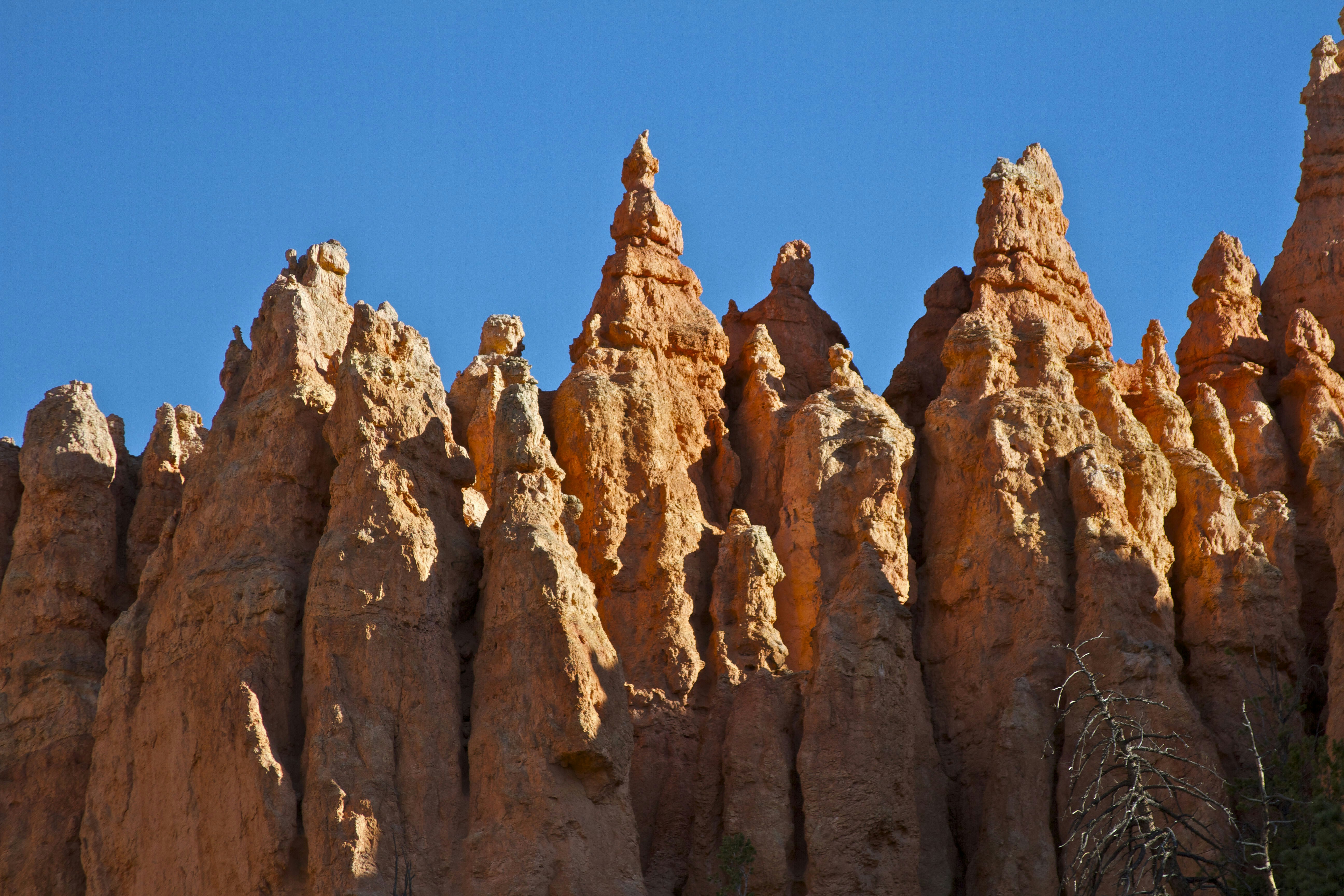 Photo by leo_visions_