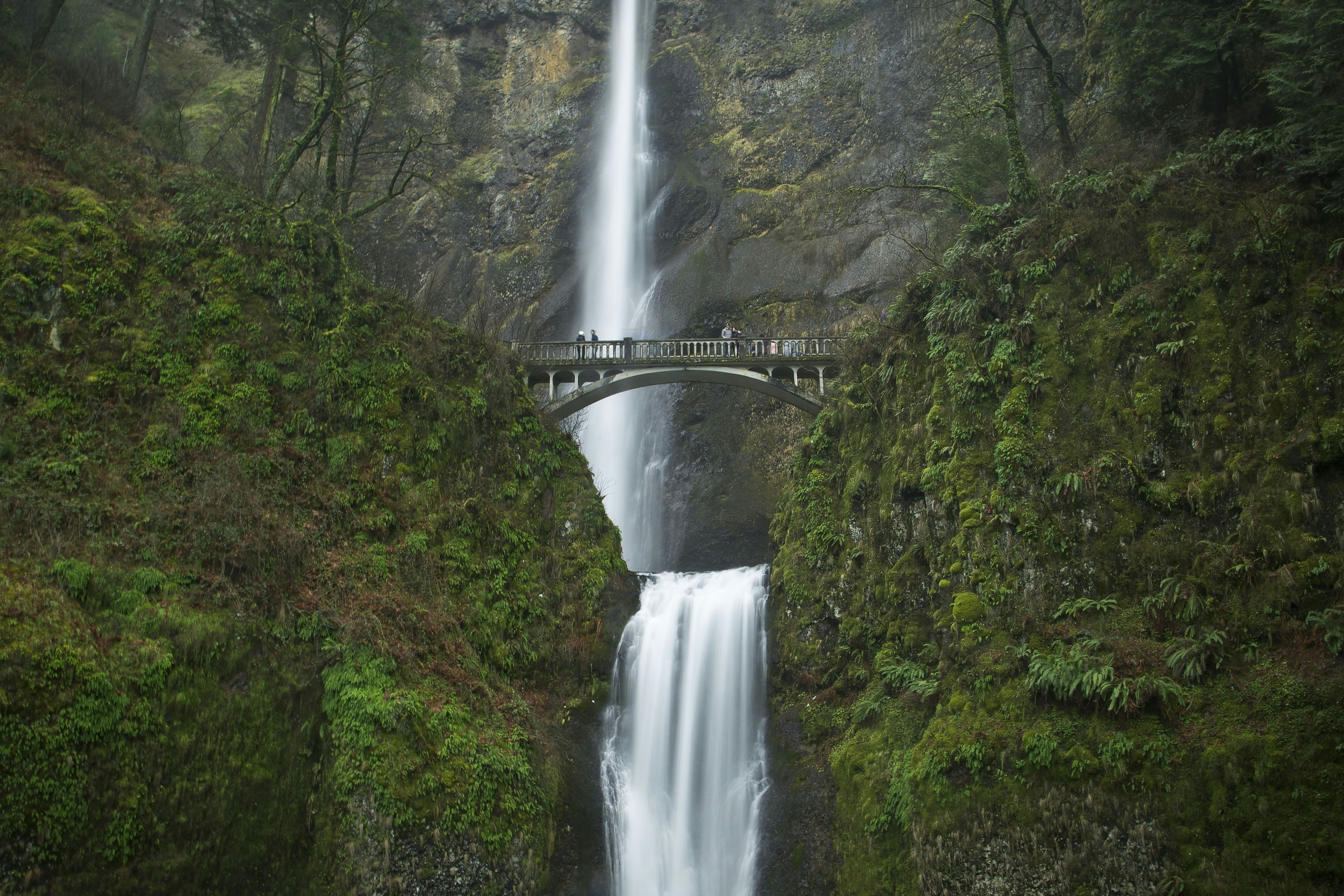 Photo by leo_visions_