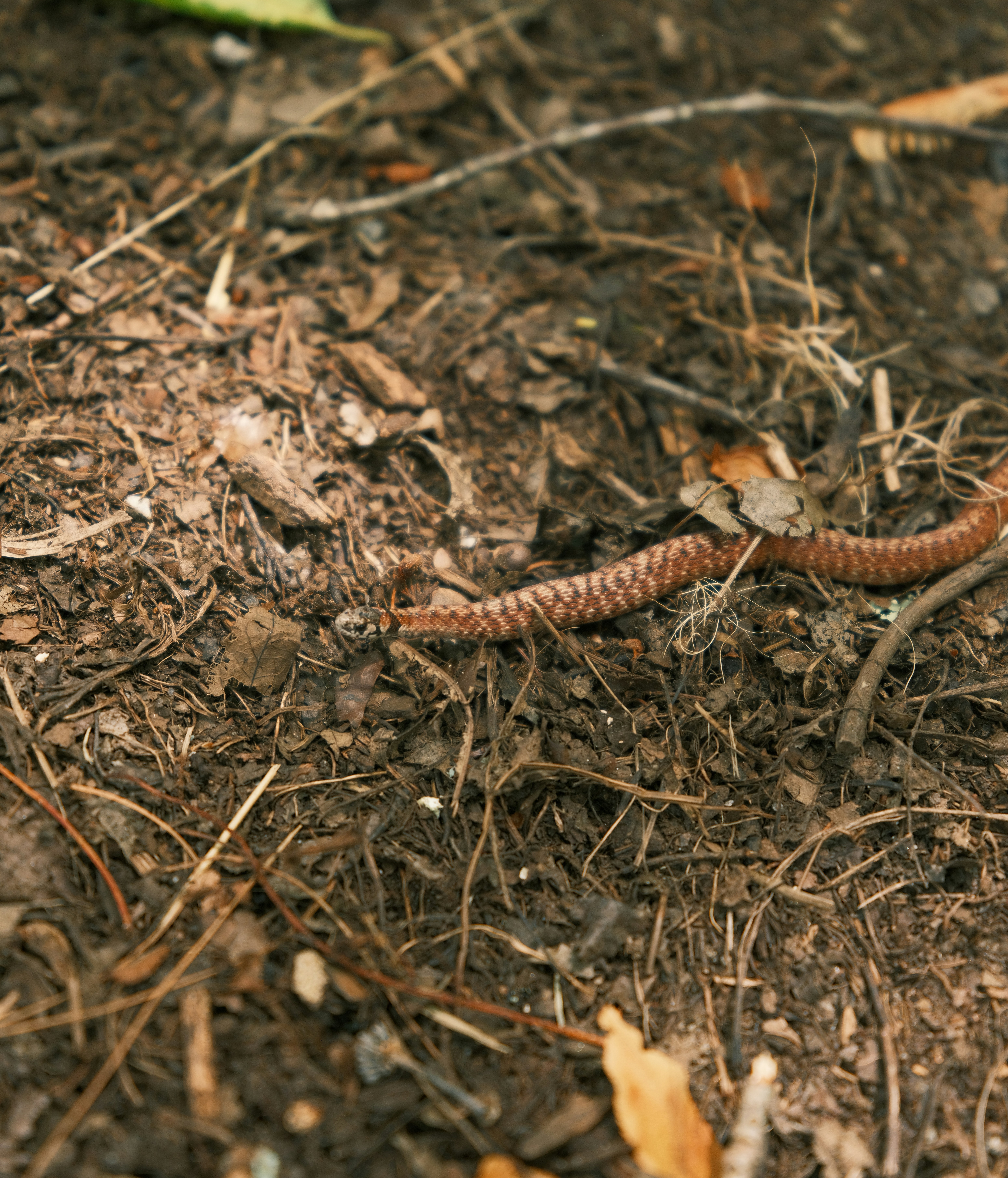 Photo by taylorheeryphoto