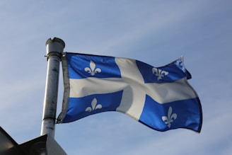 a flag on a pole