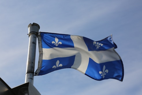 a flag on a pole
