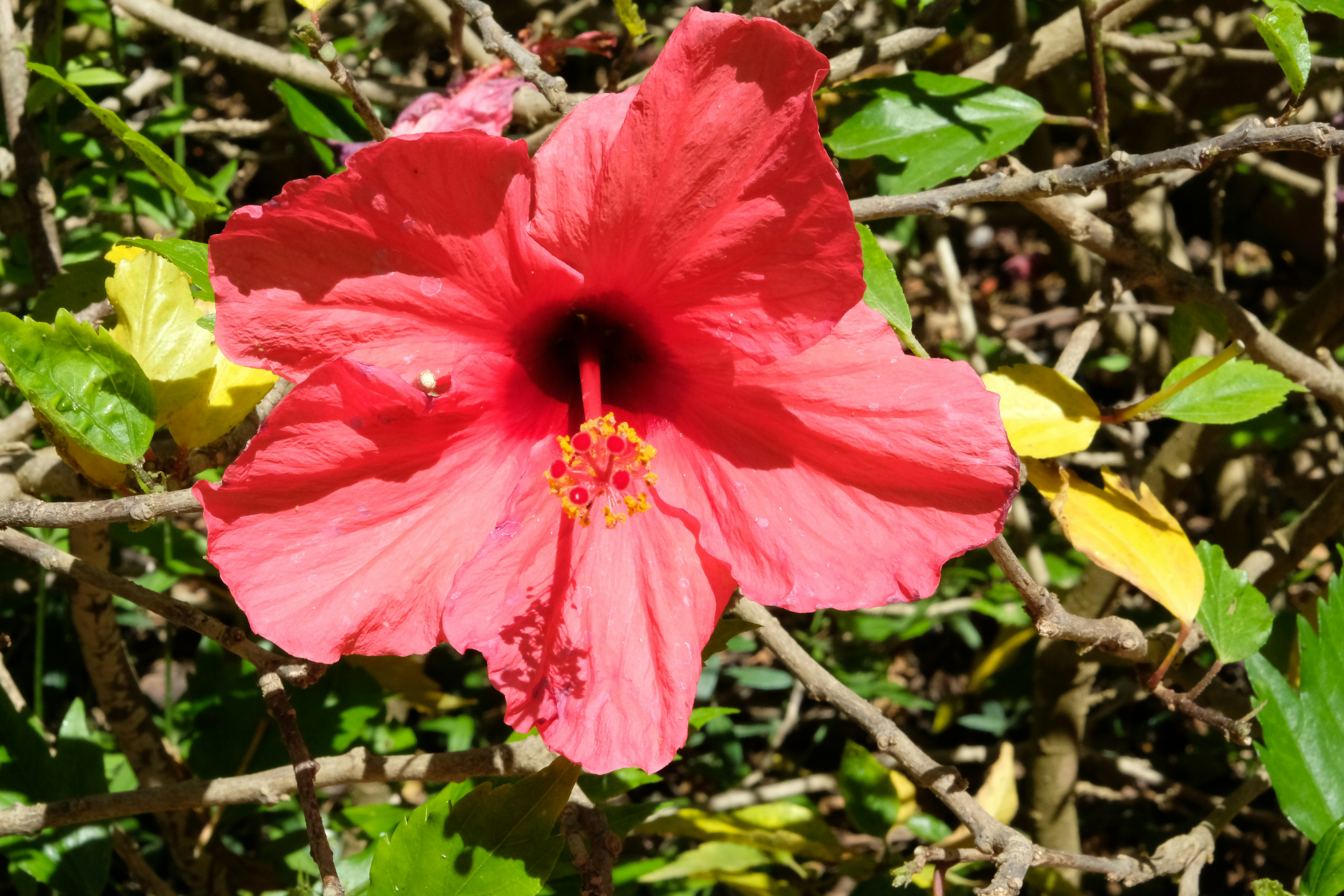 Photo by jay_kettle_williams