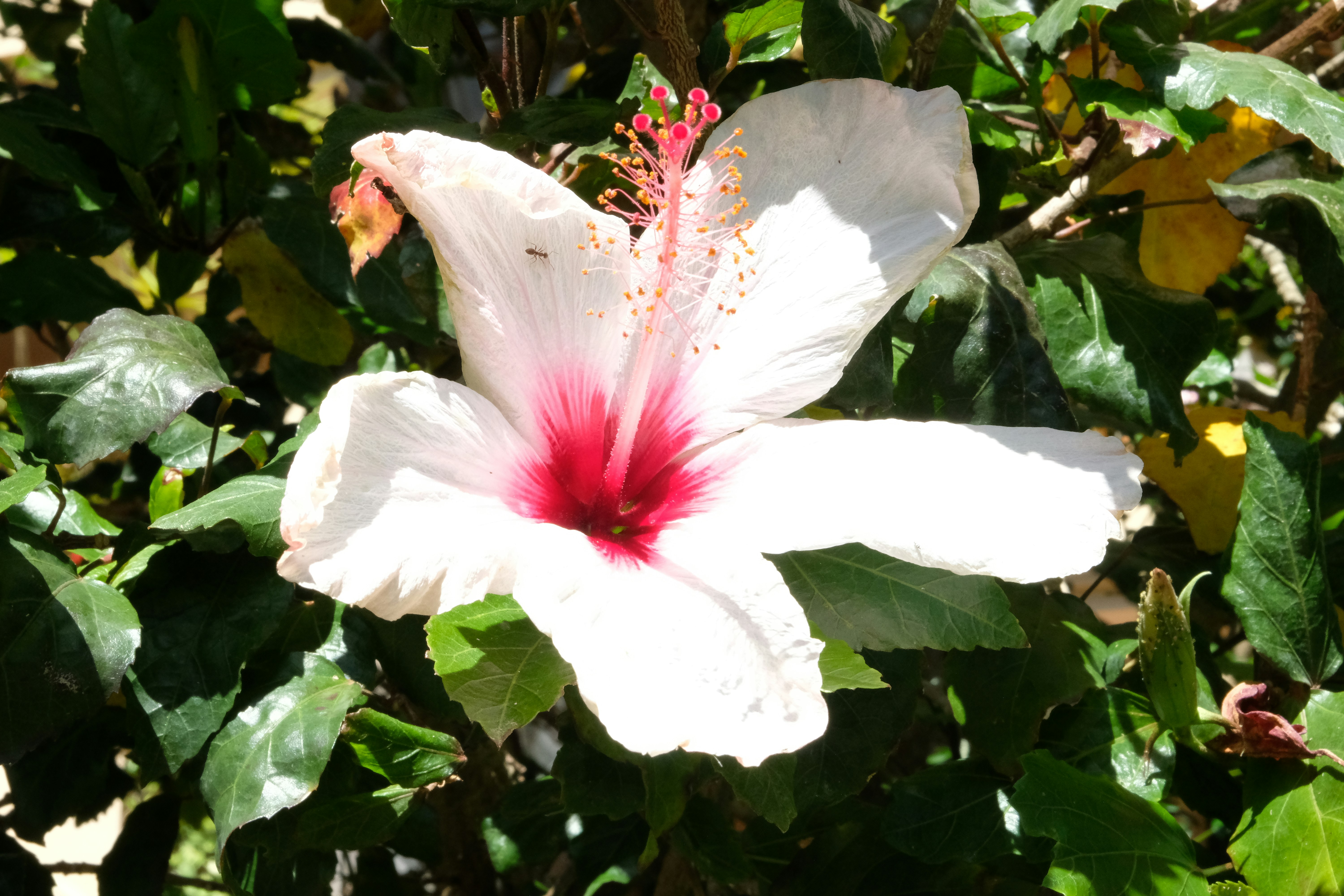 Photo by jay_kettle_williams