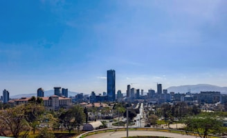 A vibrant city skyline showcasing the iconic landmarks of Seattle and Daejeon under a clear blue sky.