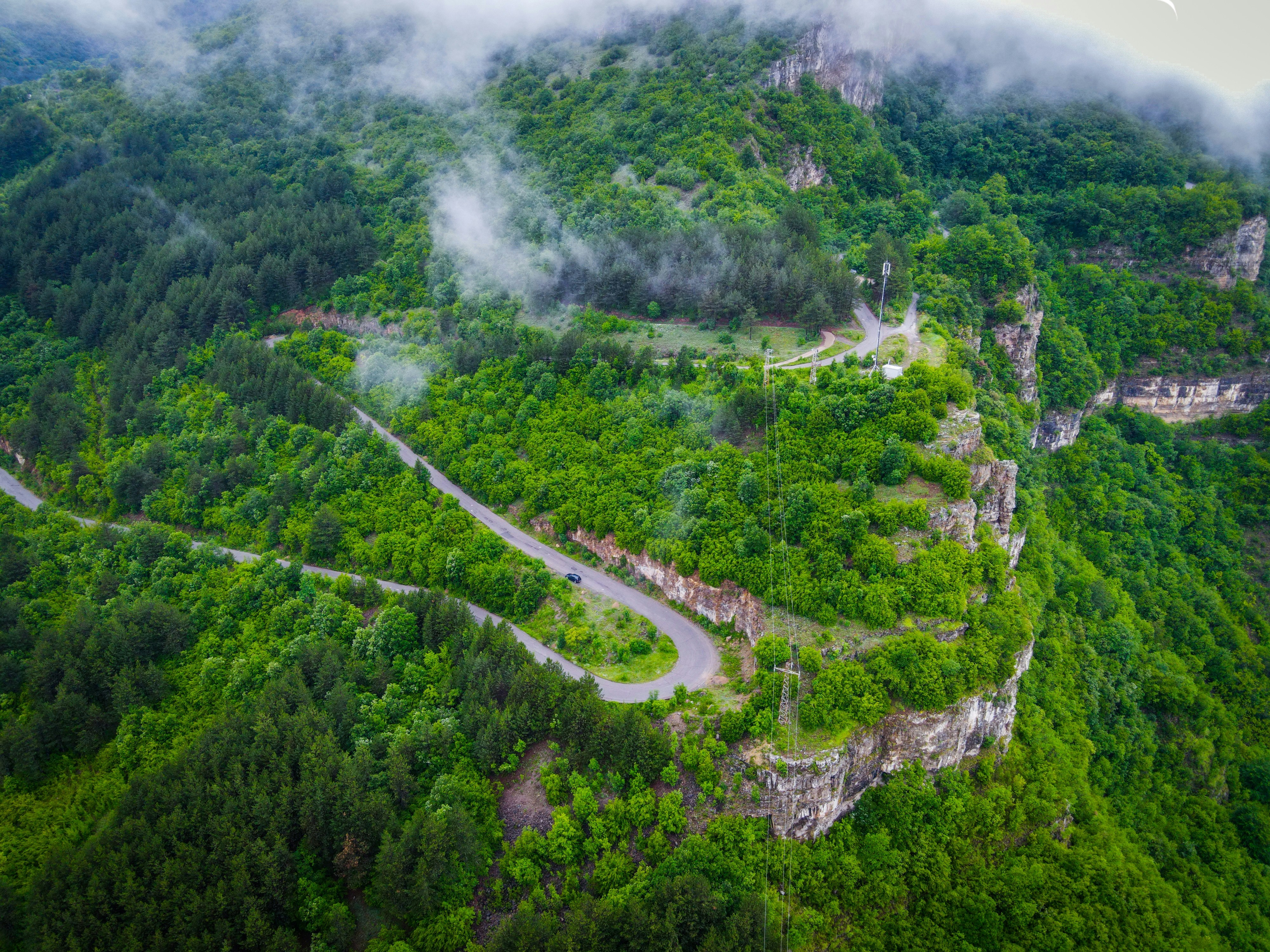 a winding road through a forest