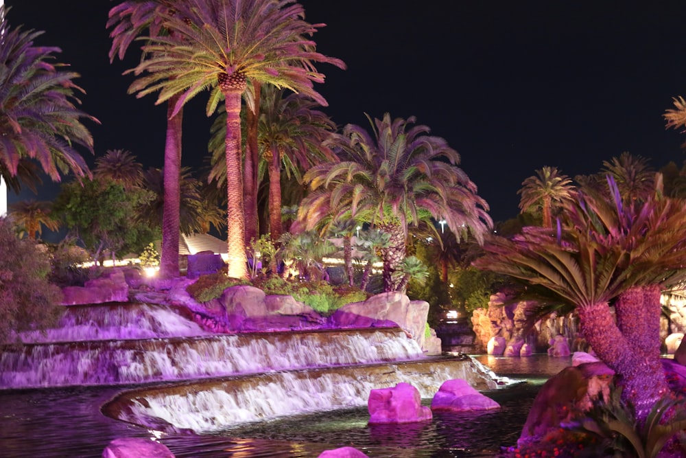 a fountain with trees around it