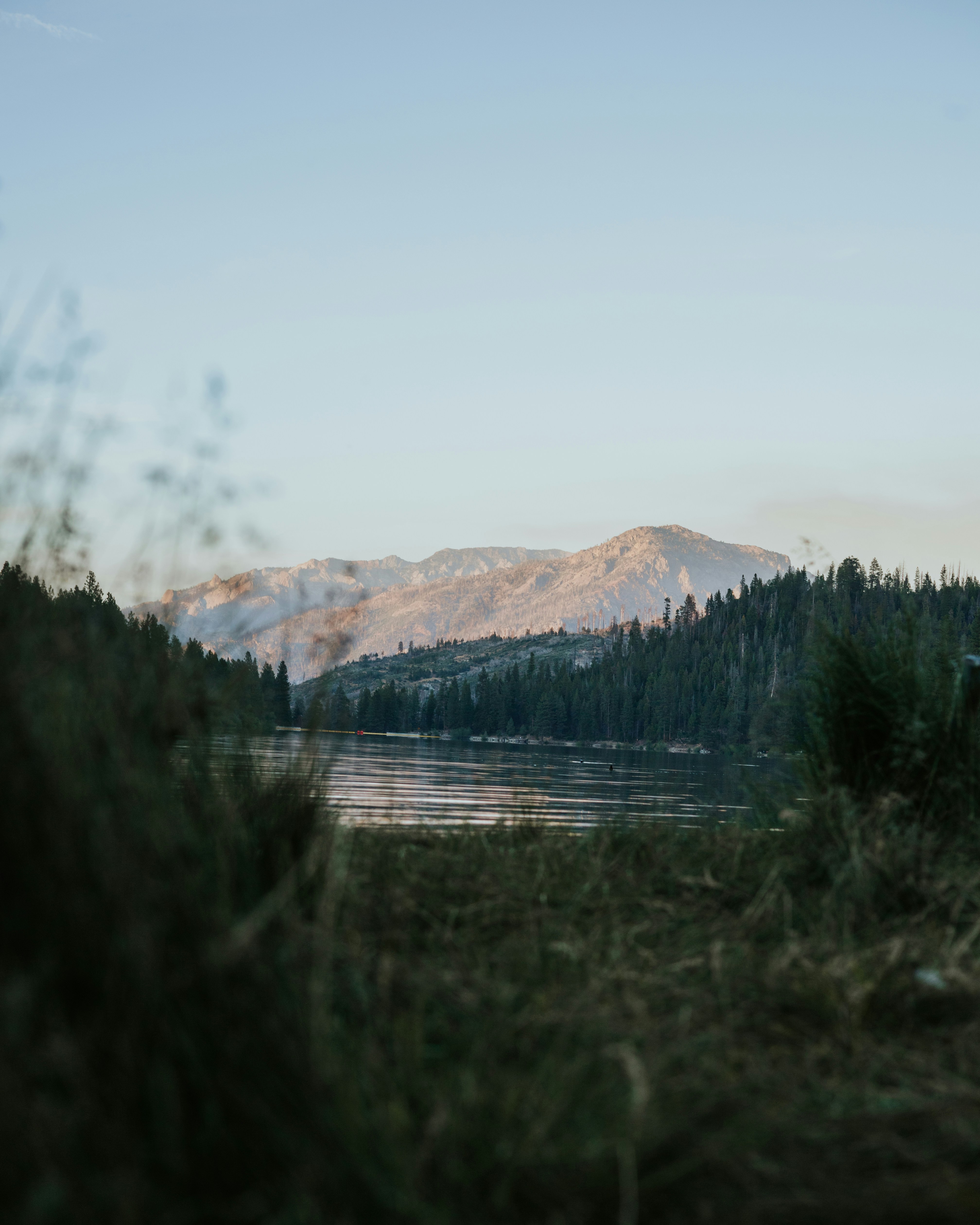 Photo by jeffersonsees