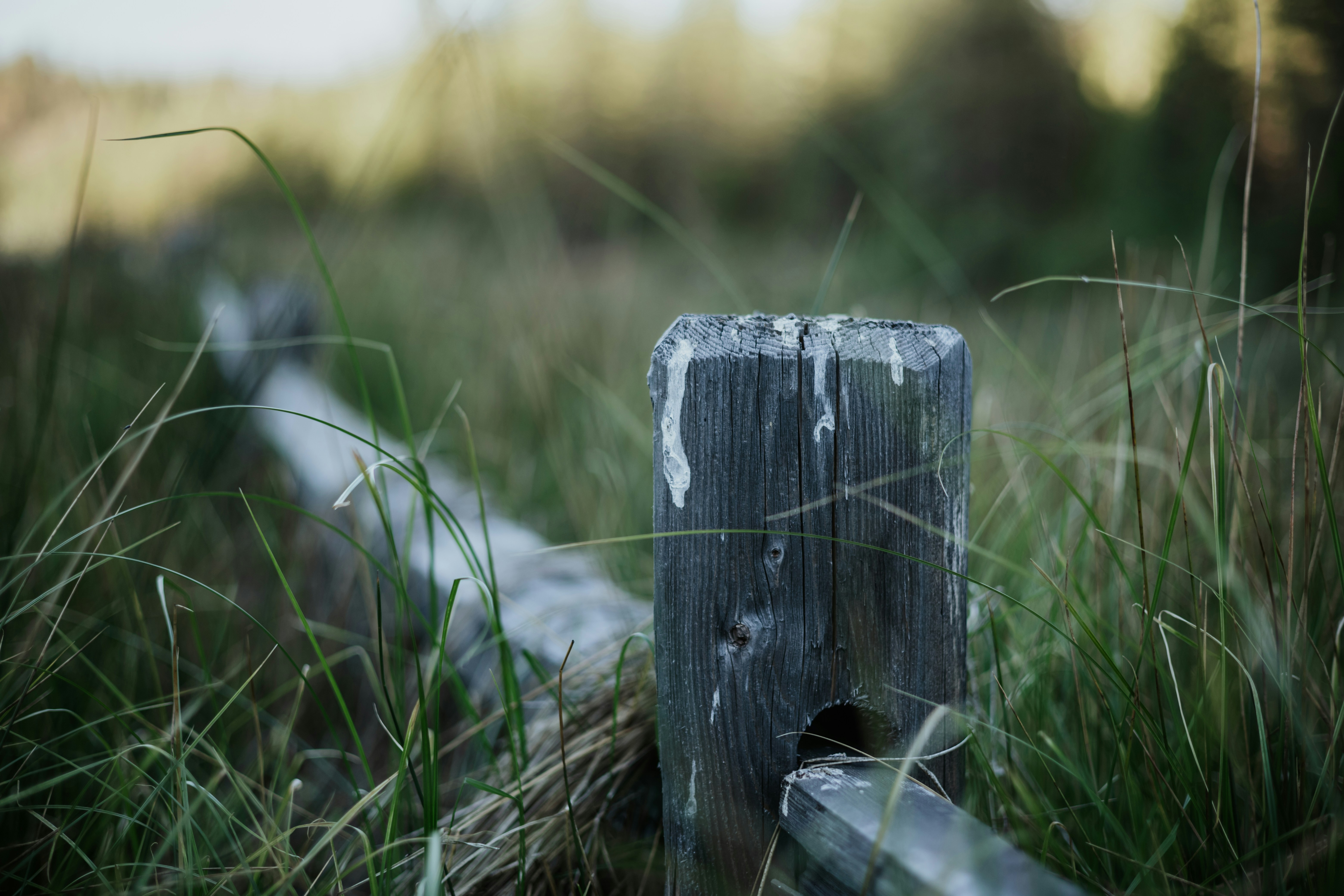 Photo by jeffersonsees