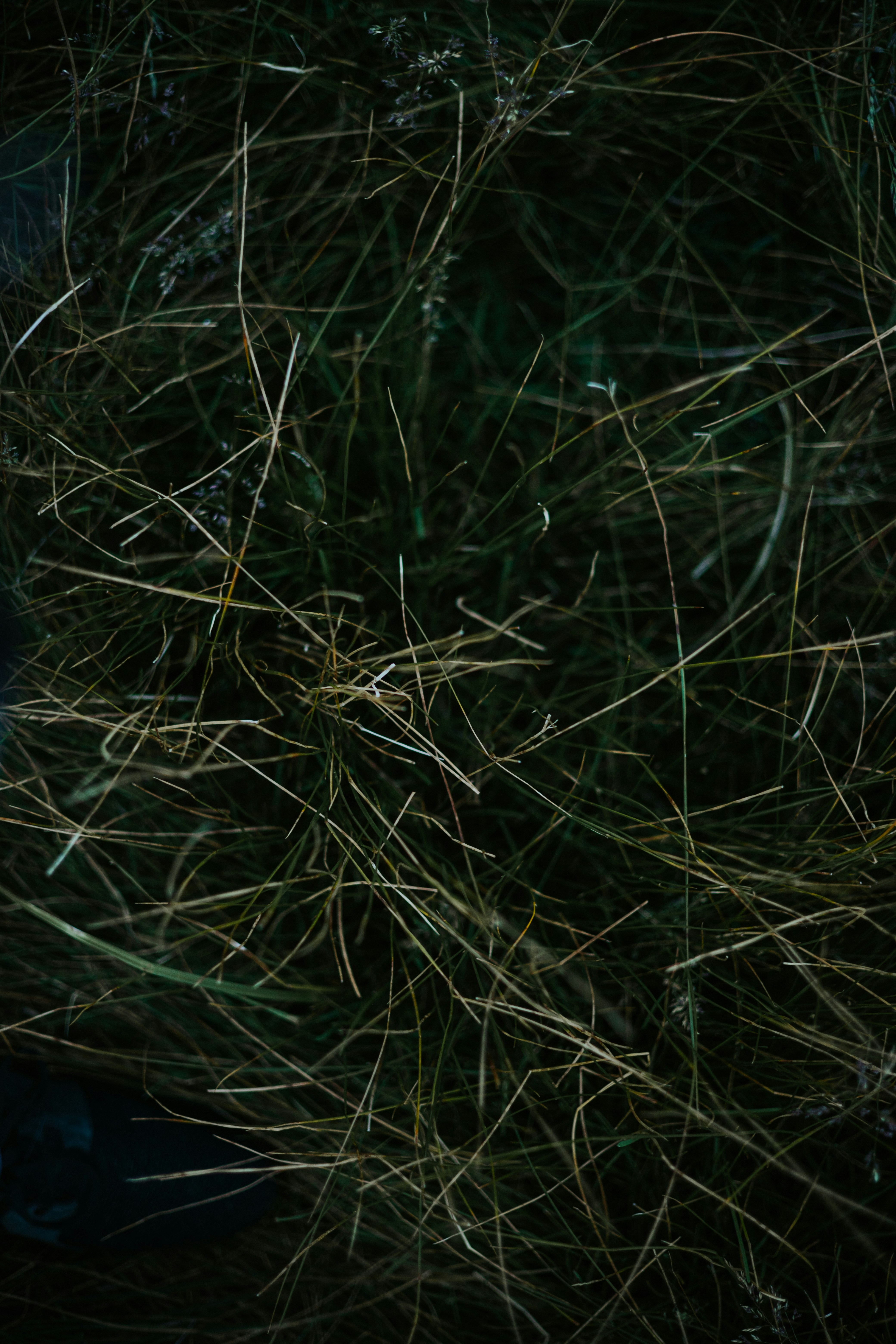 Natural ‍Hemp THCA: ⁣A Gentle Path to Wellness